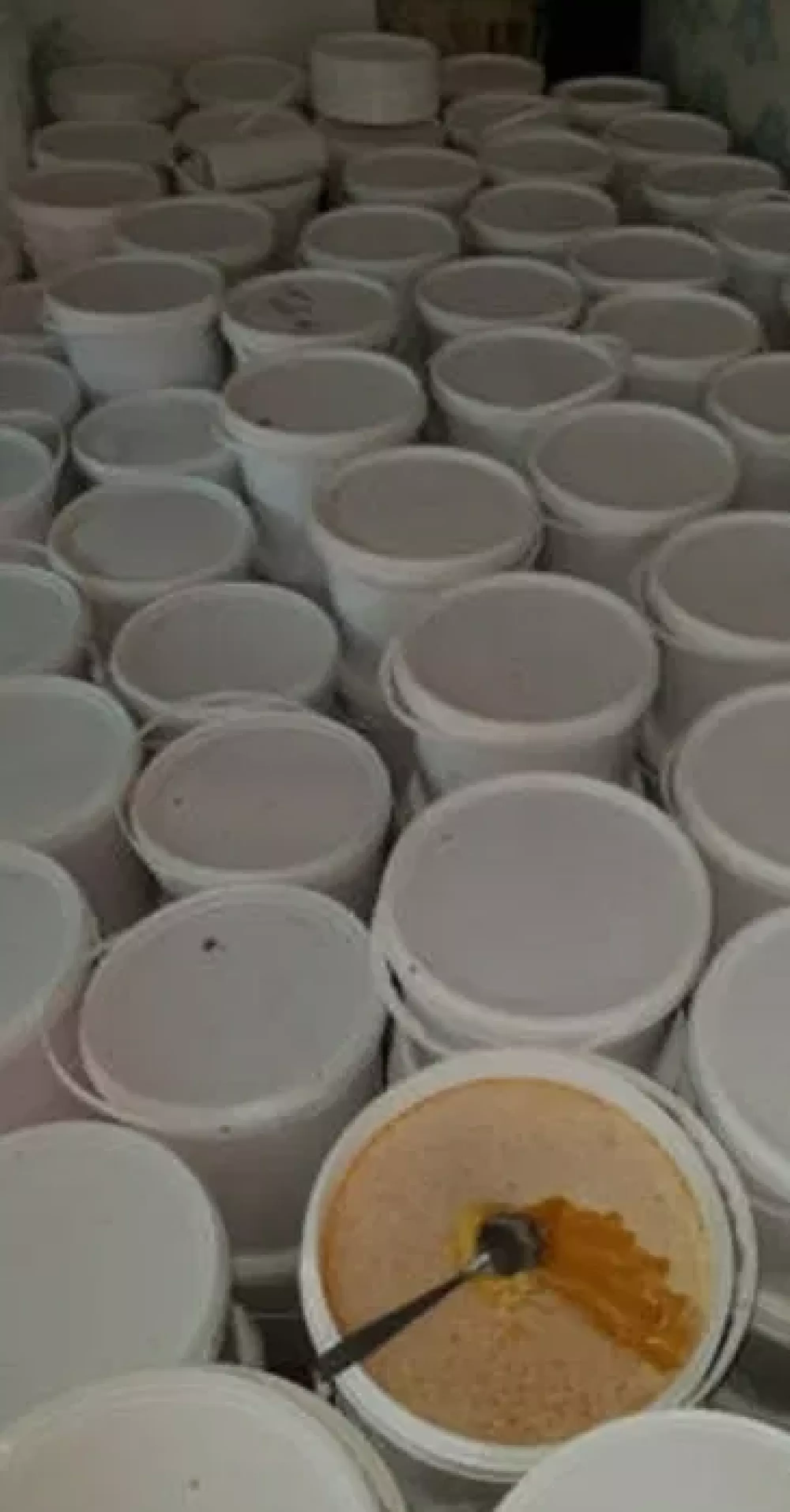 Мед оптом з соняха