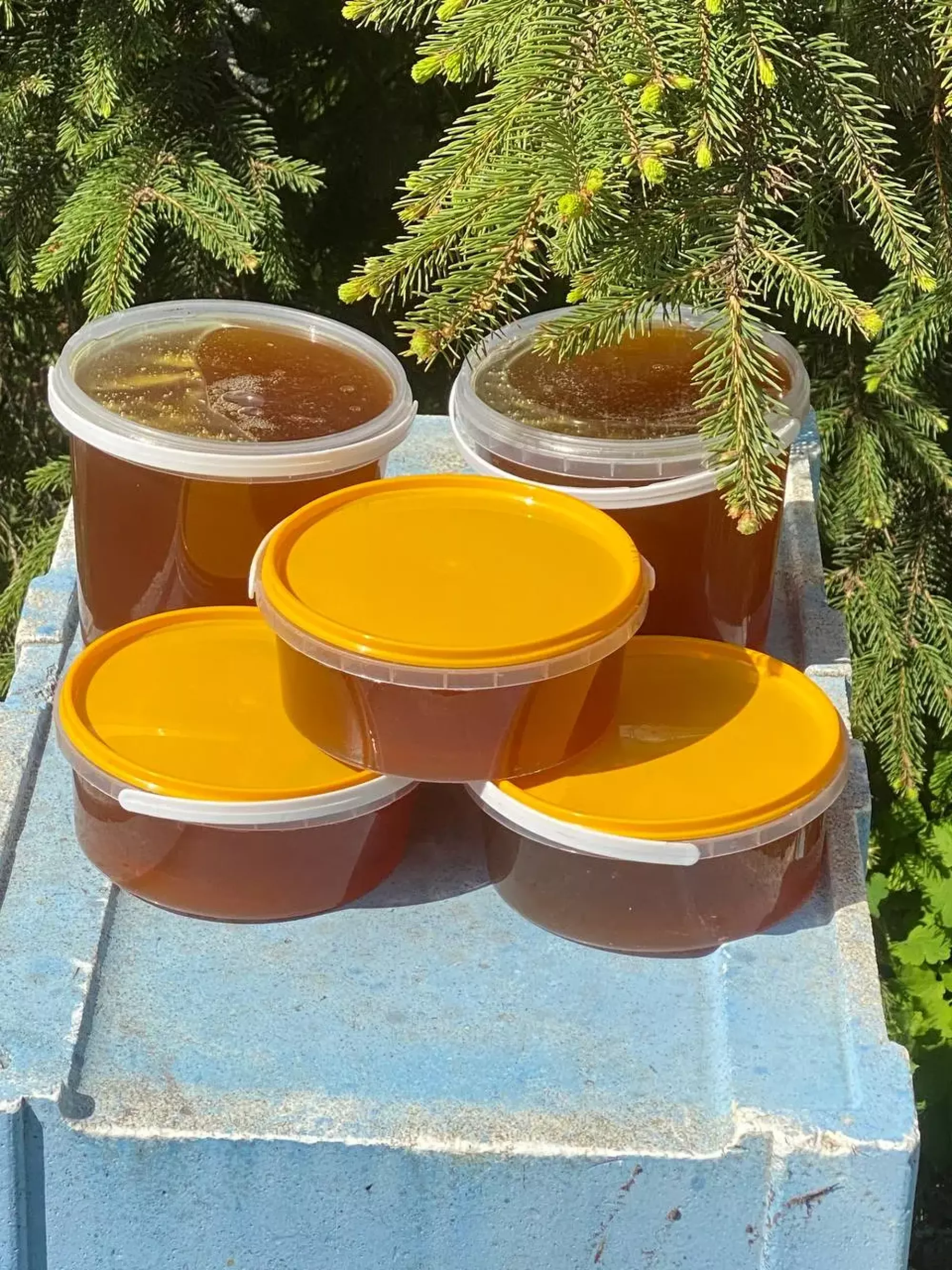 Весняний мед