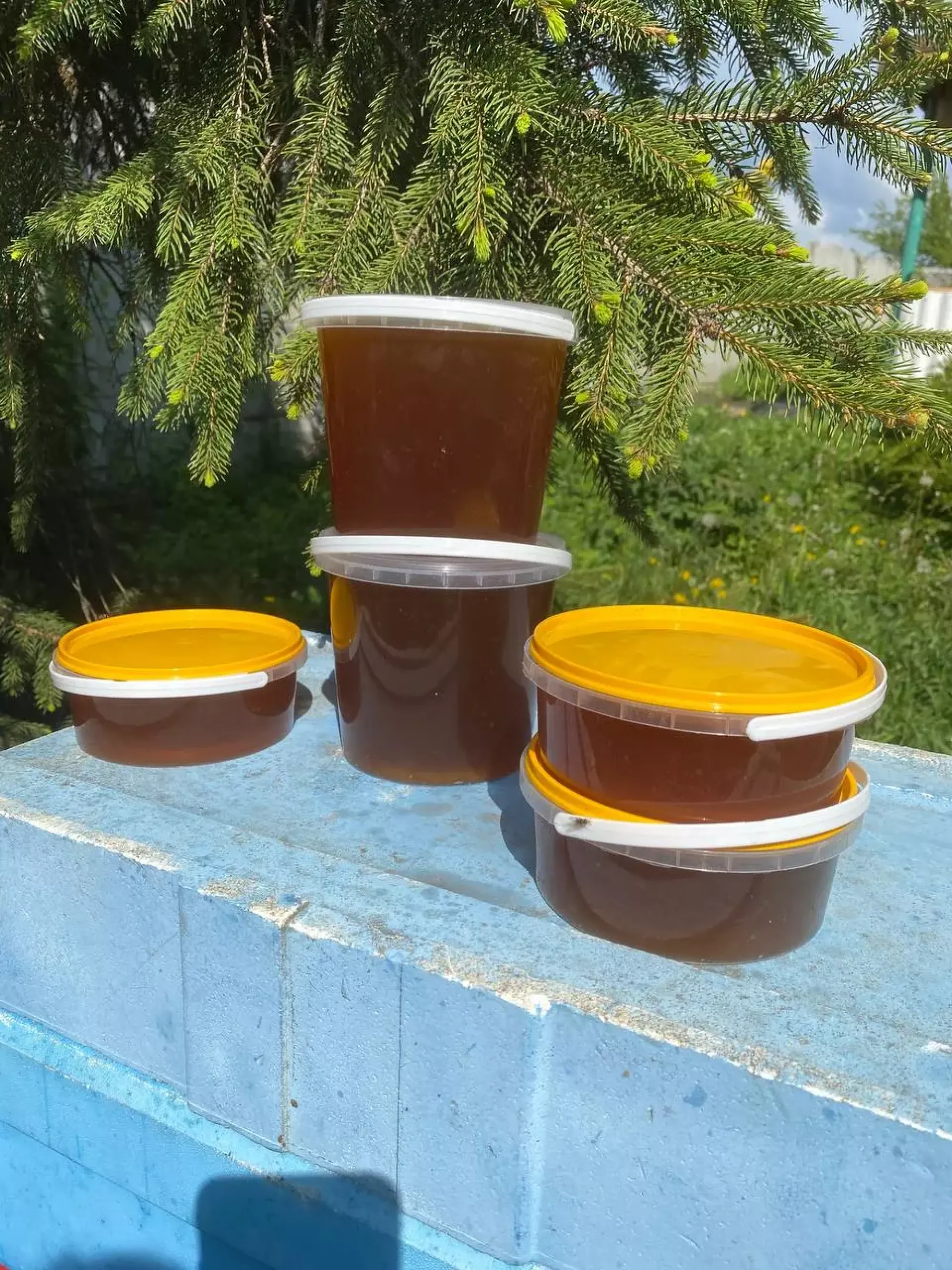 Весняний мед