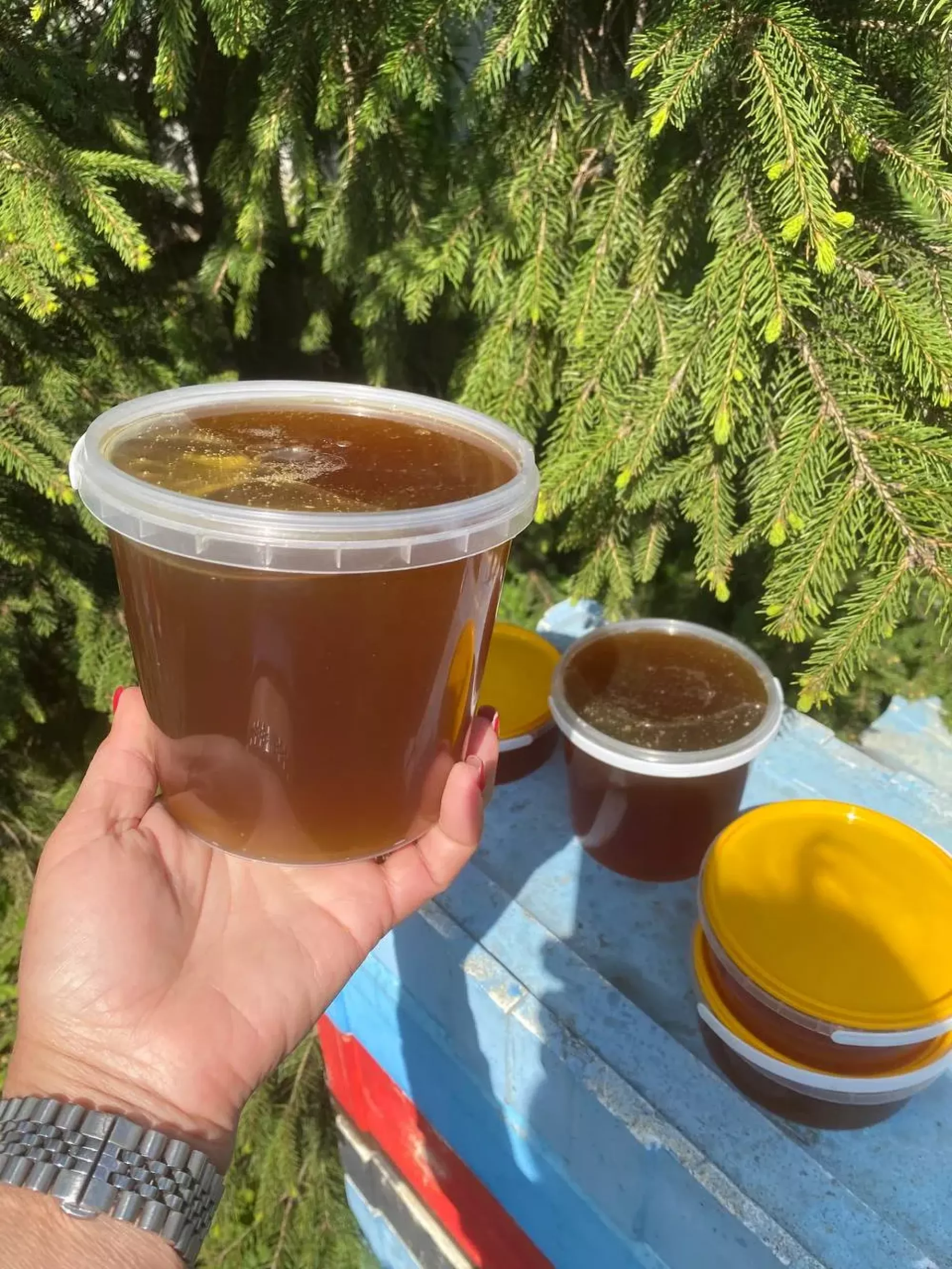 Весняний мед