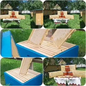 Мед гірське різнотрав'я.