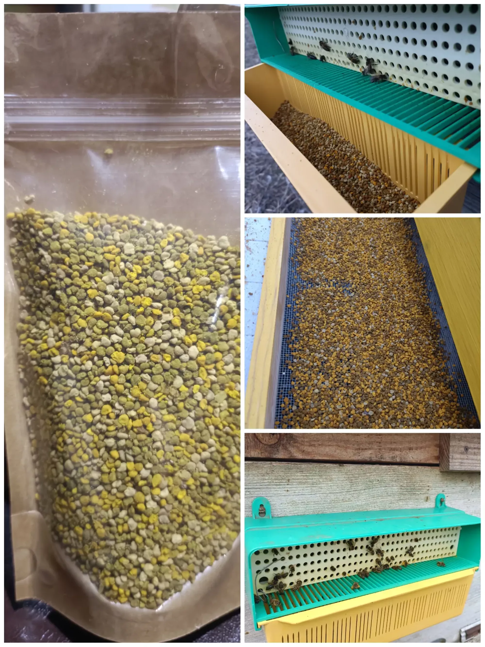 Пилок бджолиний