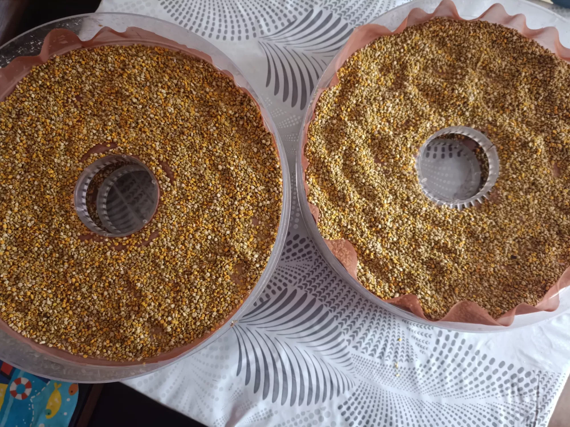 Пилок бджолиний