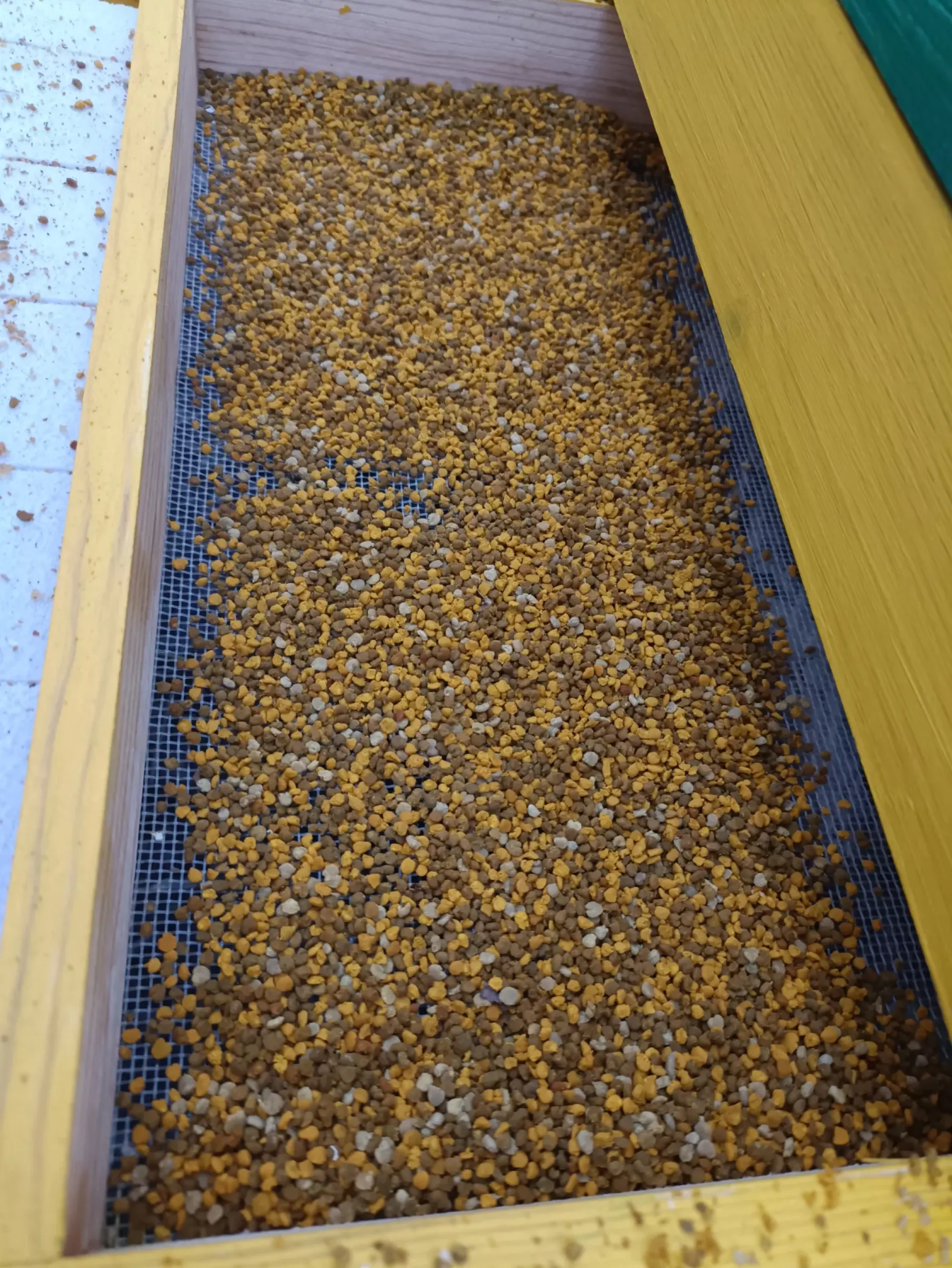 Пилок бджолиний