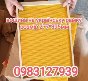 Вощина "Українська"