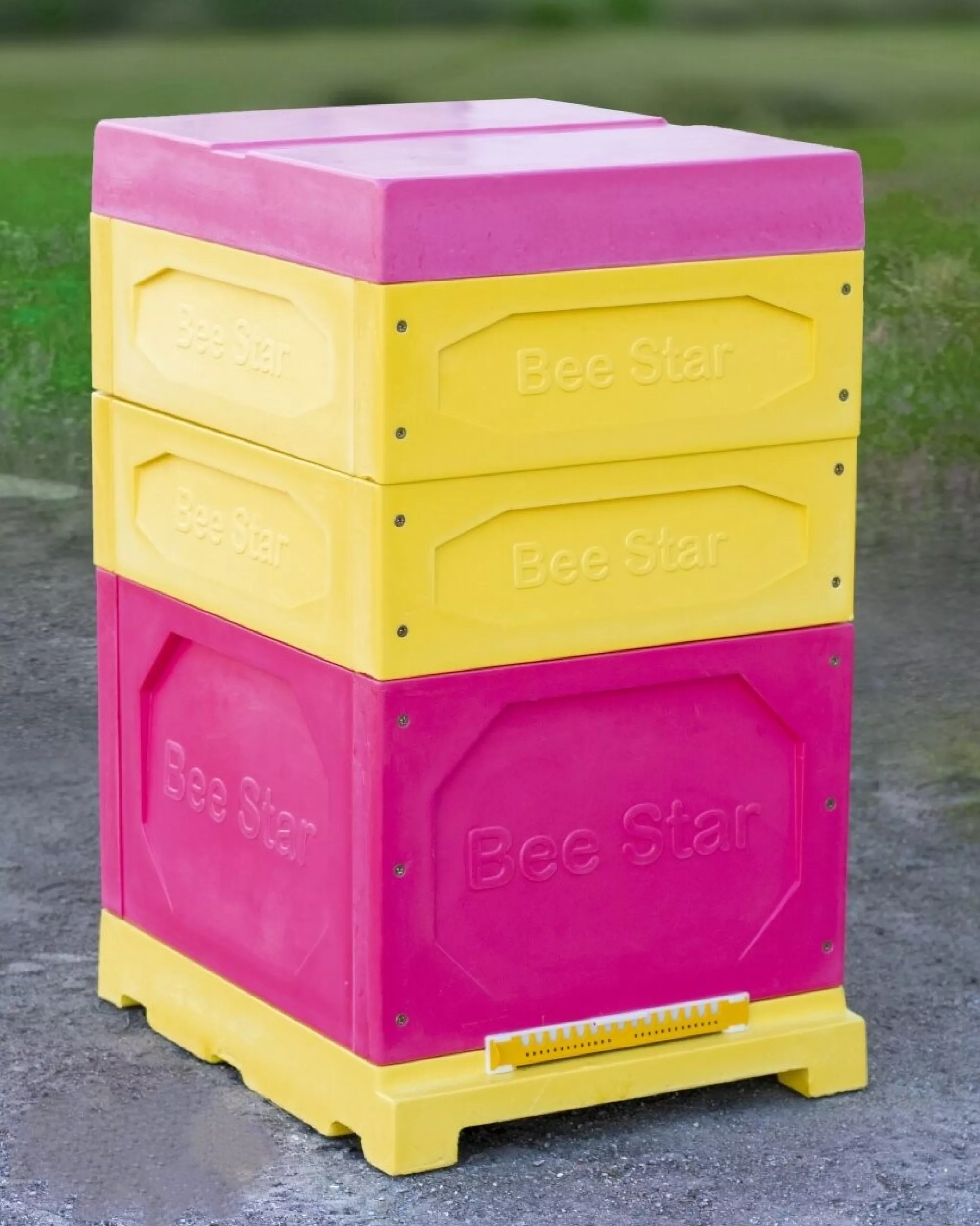 Вулик ППУ “BeeStar” (1 корпус Дадан 300 мм + 2 магазин на 10 рамок) – кольоровий