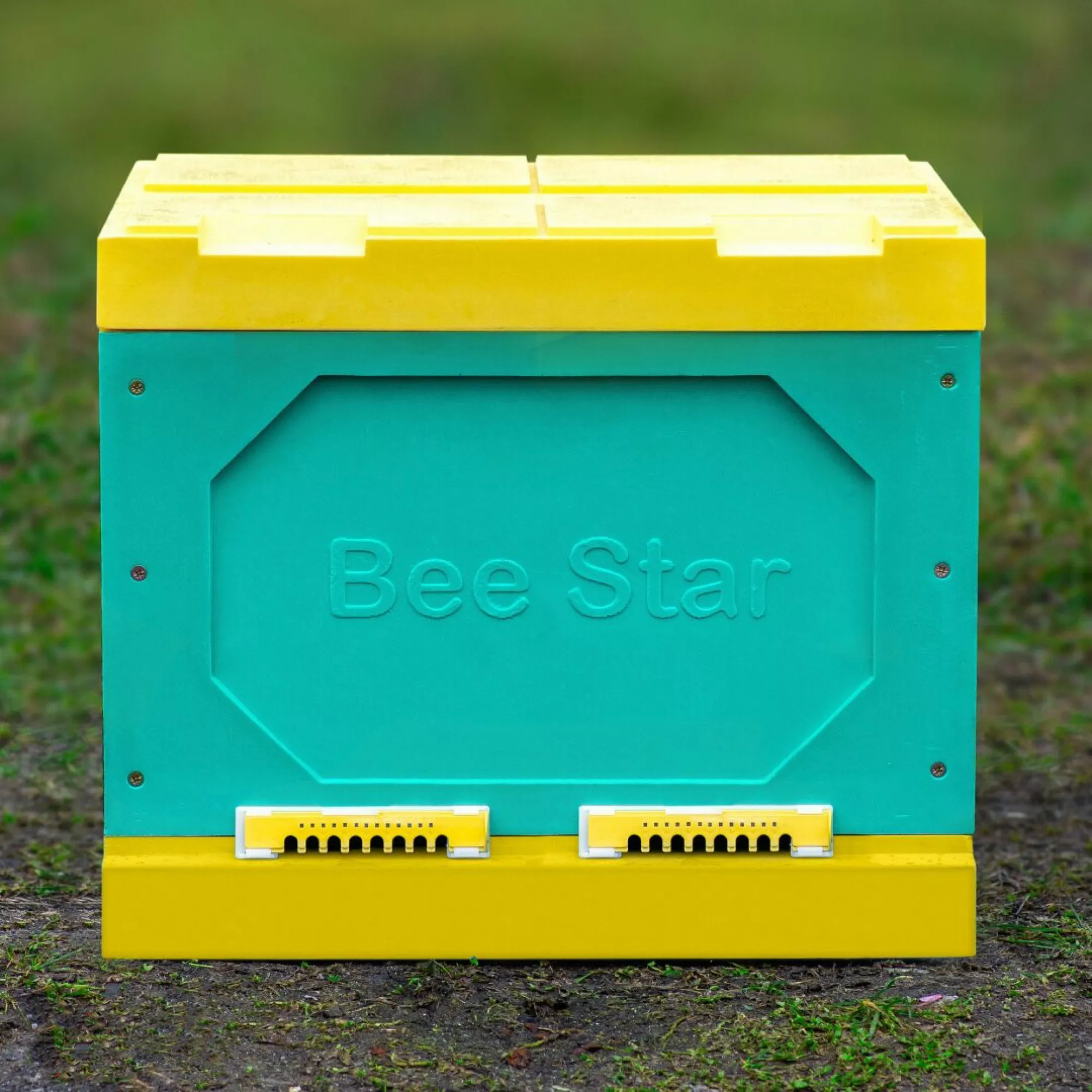 Вулик ППУ «BeeStar» (1 корпус Дадан на 12 рамок) – кольоровий