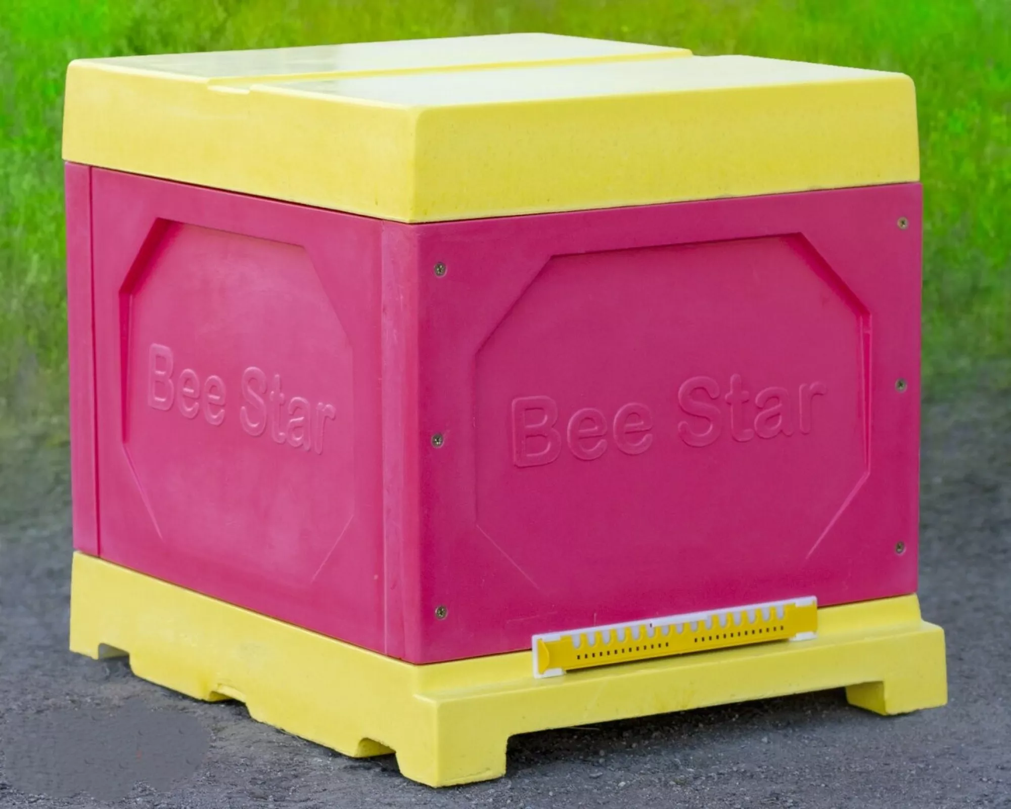 Вулик ППУ “BeeStar” (1 корпус Дадан 300 мм 10 рамок) – кольоровий