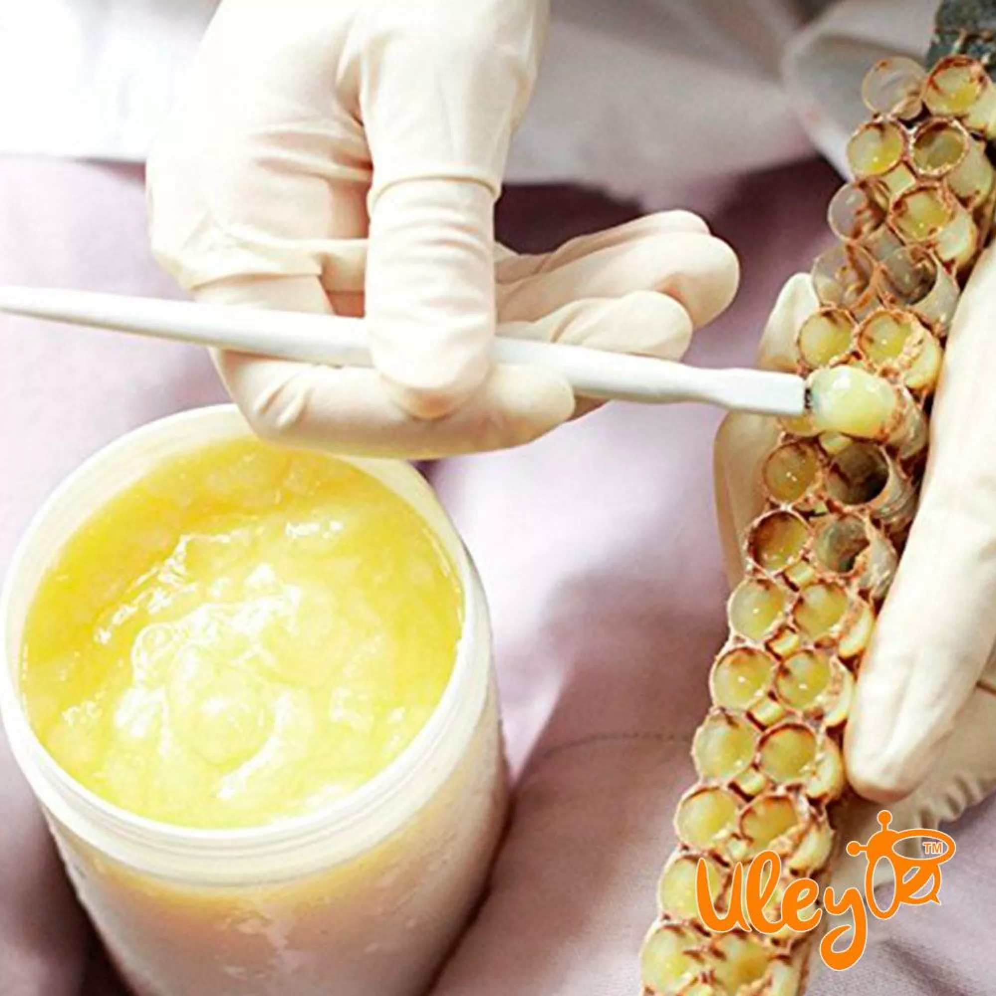 Шпатель для збору маткового молочка 1 шт.