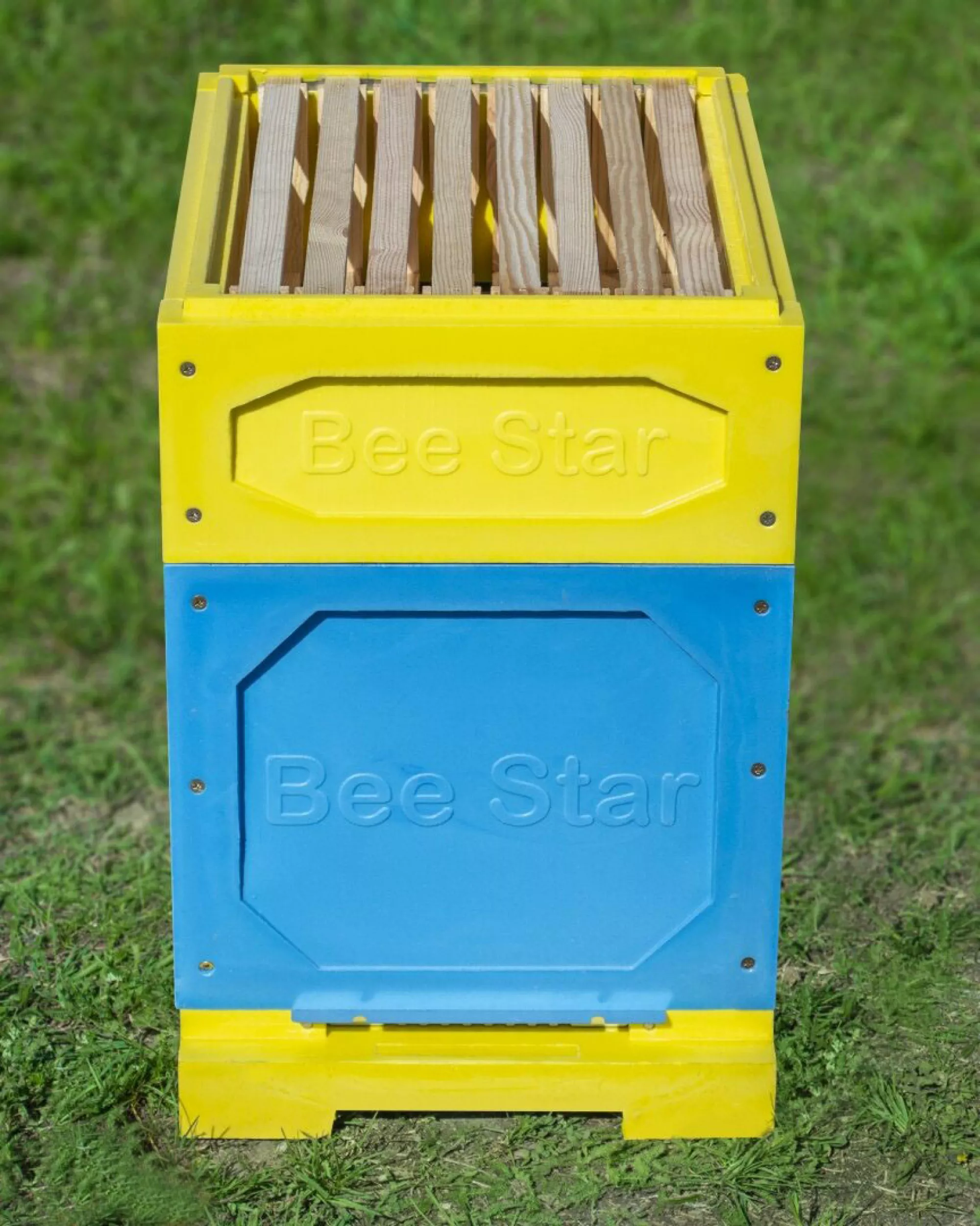 Вулик ППУ “BeeStar” (1 корпус Дадан 300 мм + 3 магазини на 8 рамок) – кольоровий