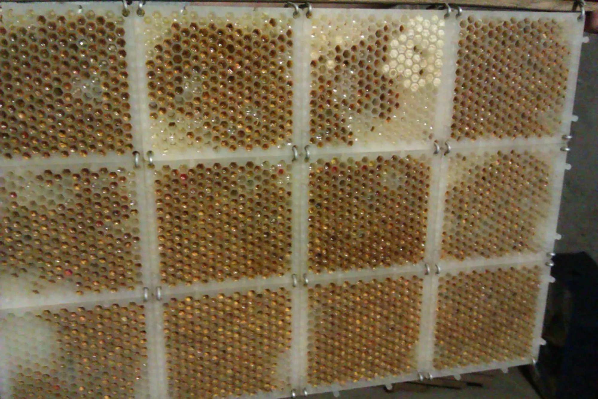 Сота-пазл для отримання перги 1шт