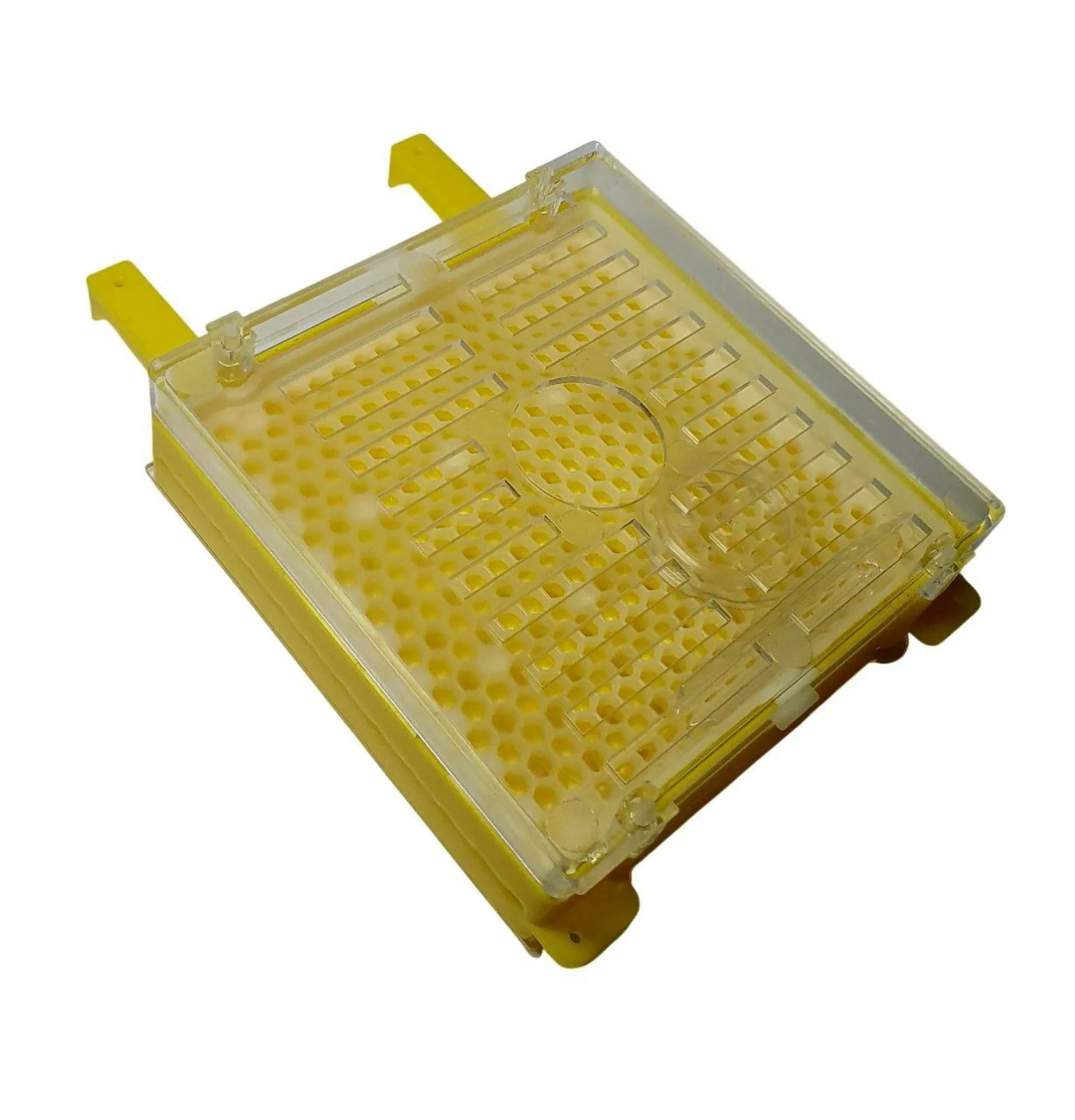 Касета «Джентерский сот» в зборі. Німеччина