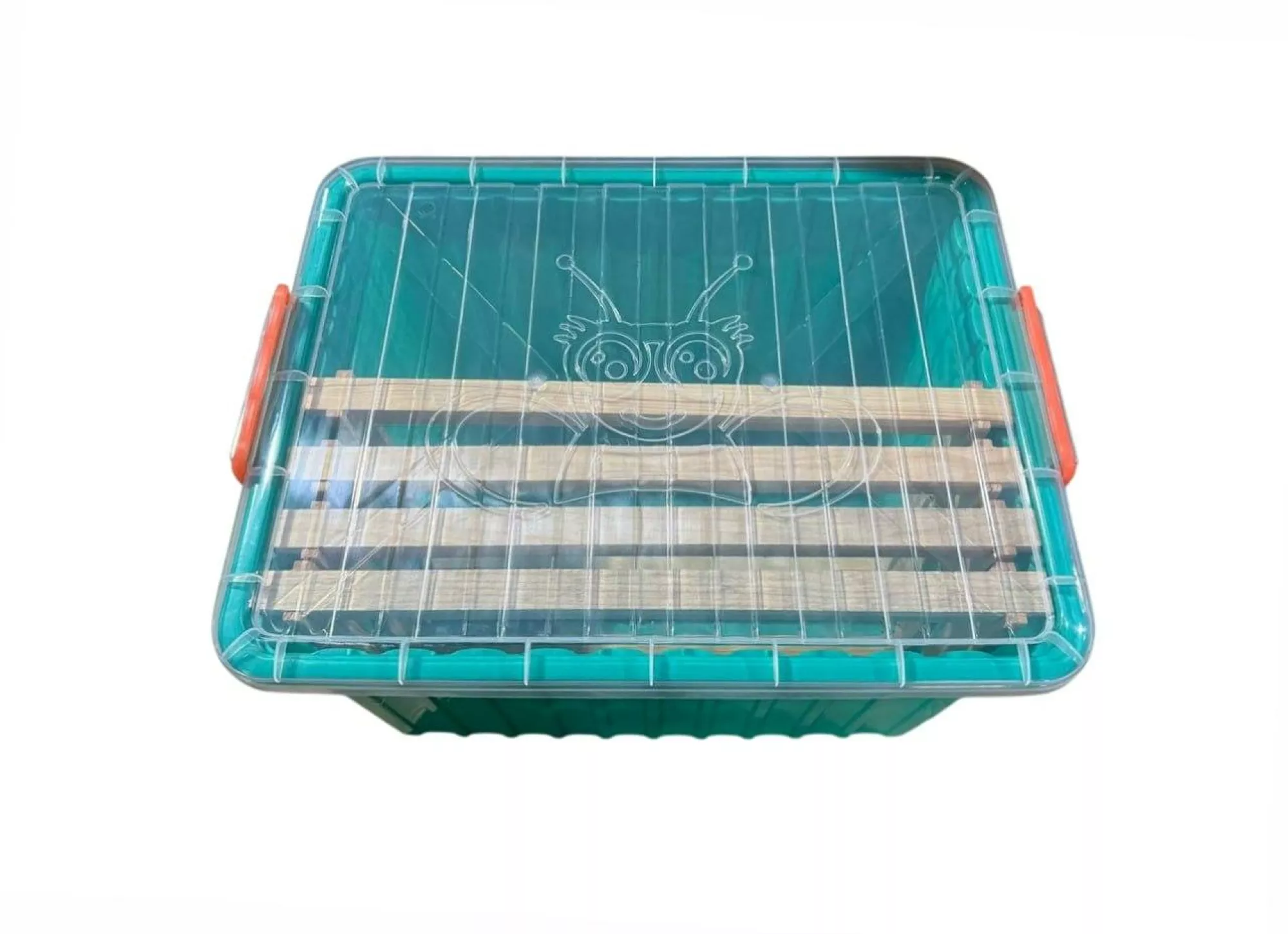 Контейнер “Box” для рамок Дадан (бірюзовий)