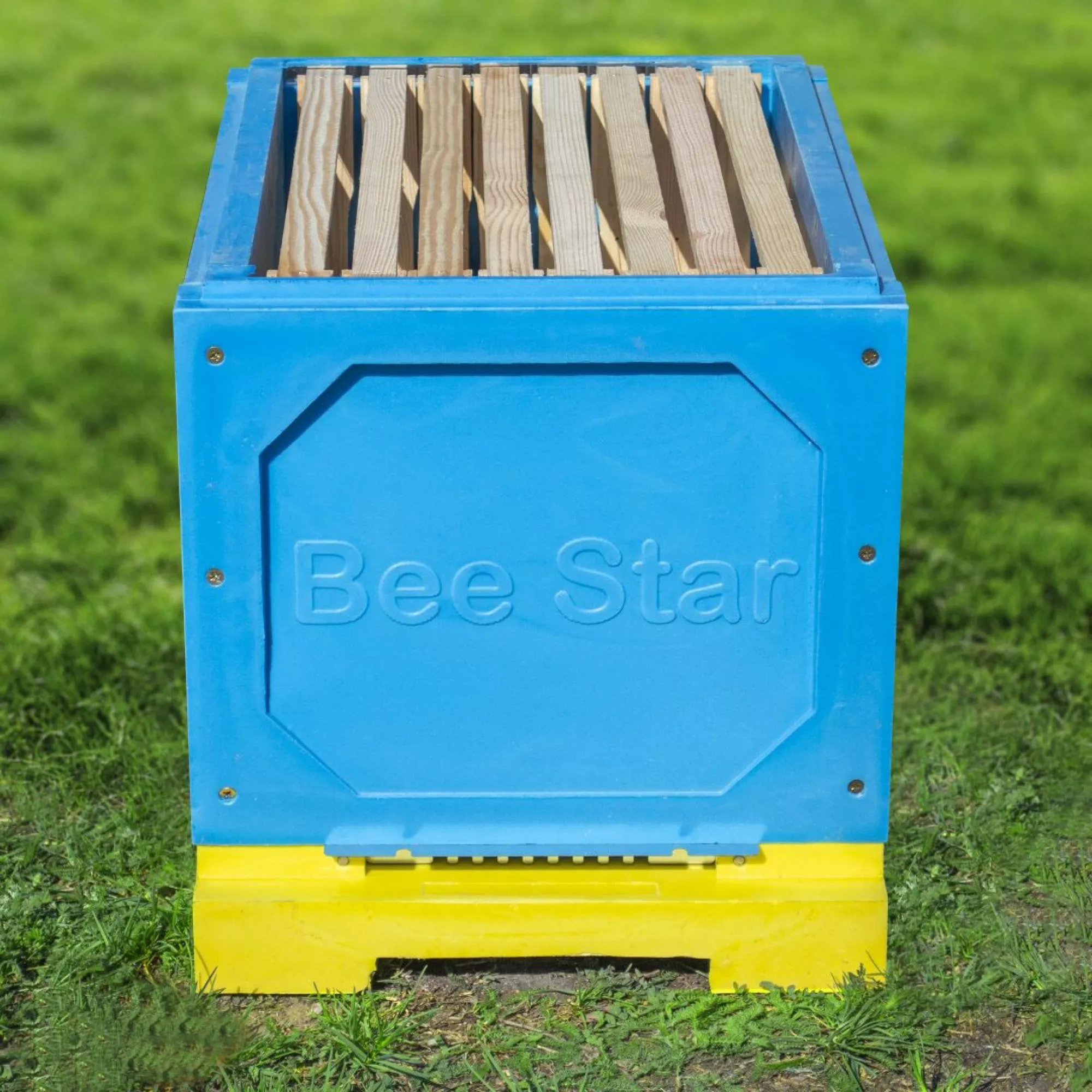 Вулик ППУ “BeeStar” 8 рамок 2 корпуси Дадан – кольоровий