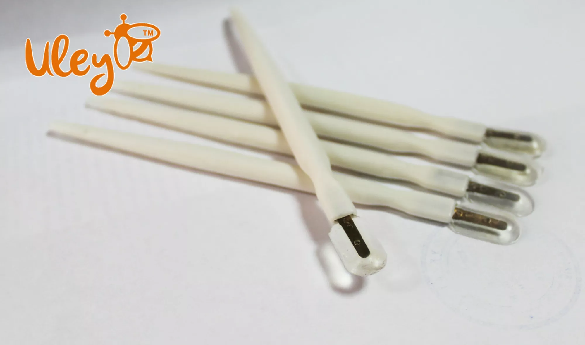 Шпатель для збору маткового молочка 1 шт.