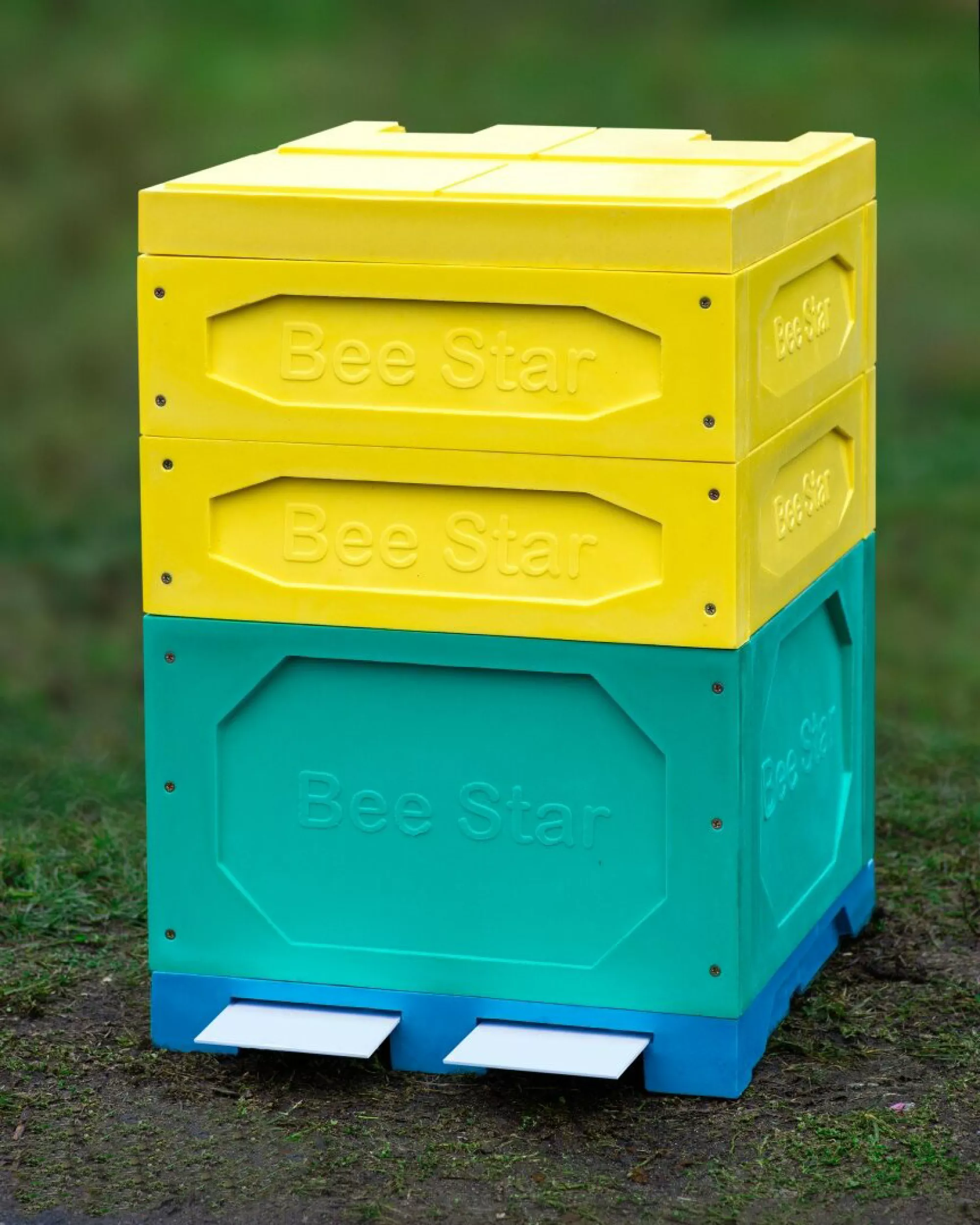 Вулик ППУ «BeeStar» (1 корпус Дадан + 2 магазини на 12 рамок) – кольоровий