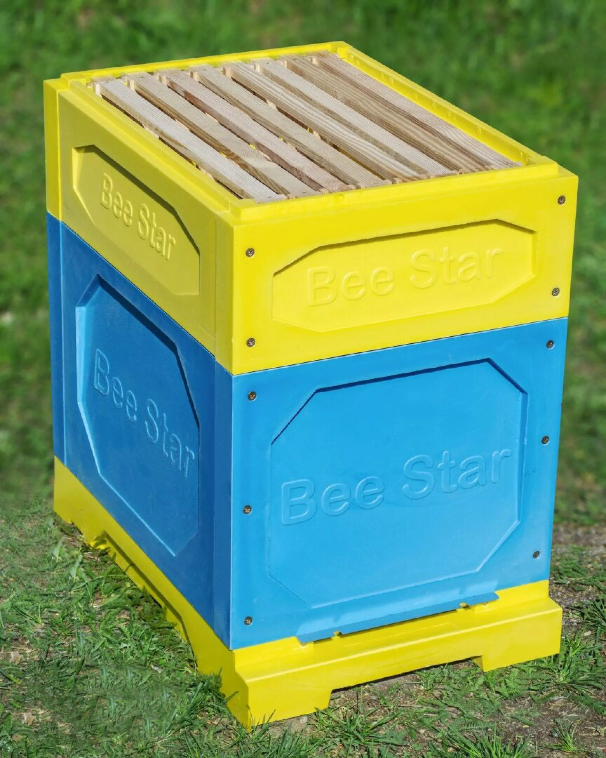 Вулик ППУ “BeeStar” (1 корпус Дадан 300 мм + 2 магазини на 8 рамок) – кольоровий