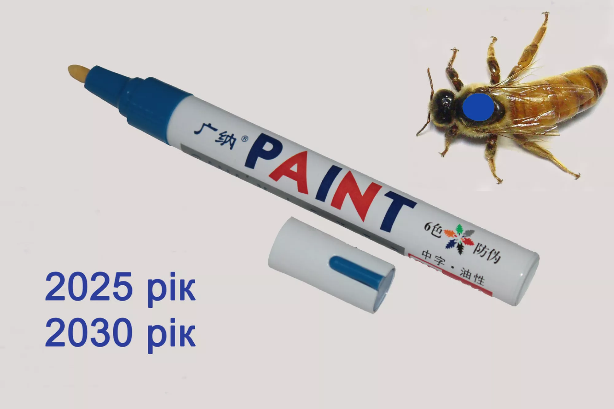 Маркер СИНІЙ для мітки маток 2025 рік, 2030 рік