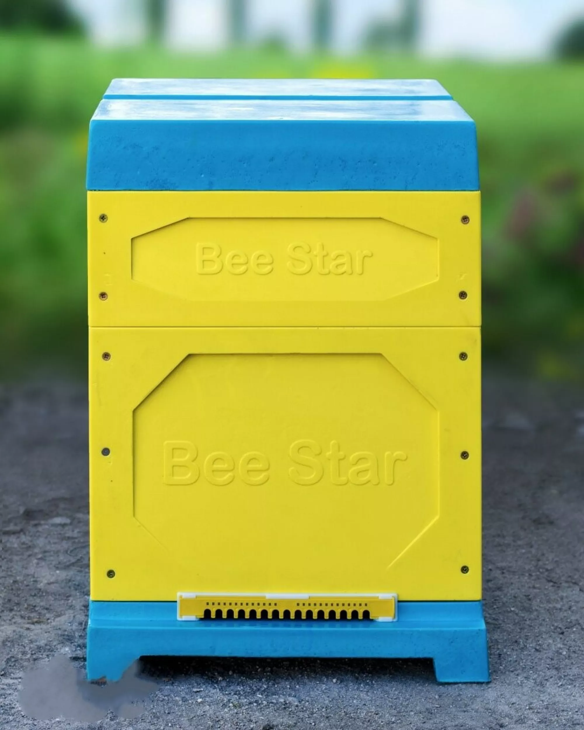 Вулик ППУ “BeeStar” (1 корпус Дадан 300 мм + 1 магазин на 10 рамок) – кольоровий