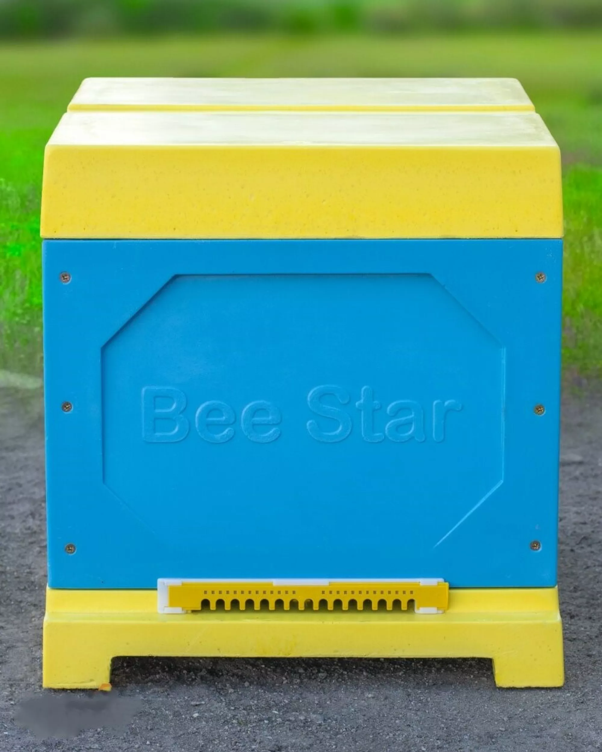 Вулик ППУ “BeeStar” (1 корпус Дадан 300 мм 10 рамок) – кольоровий