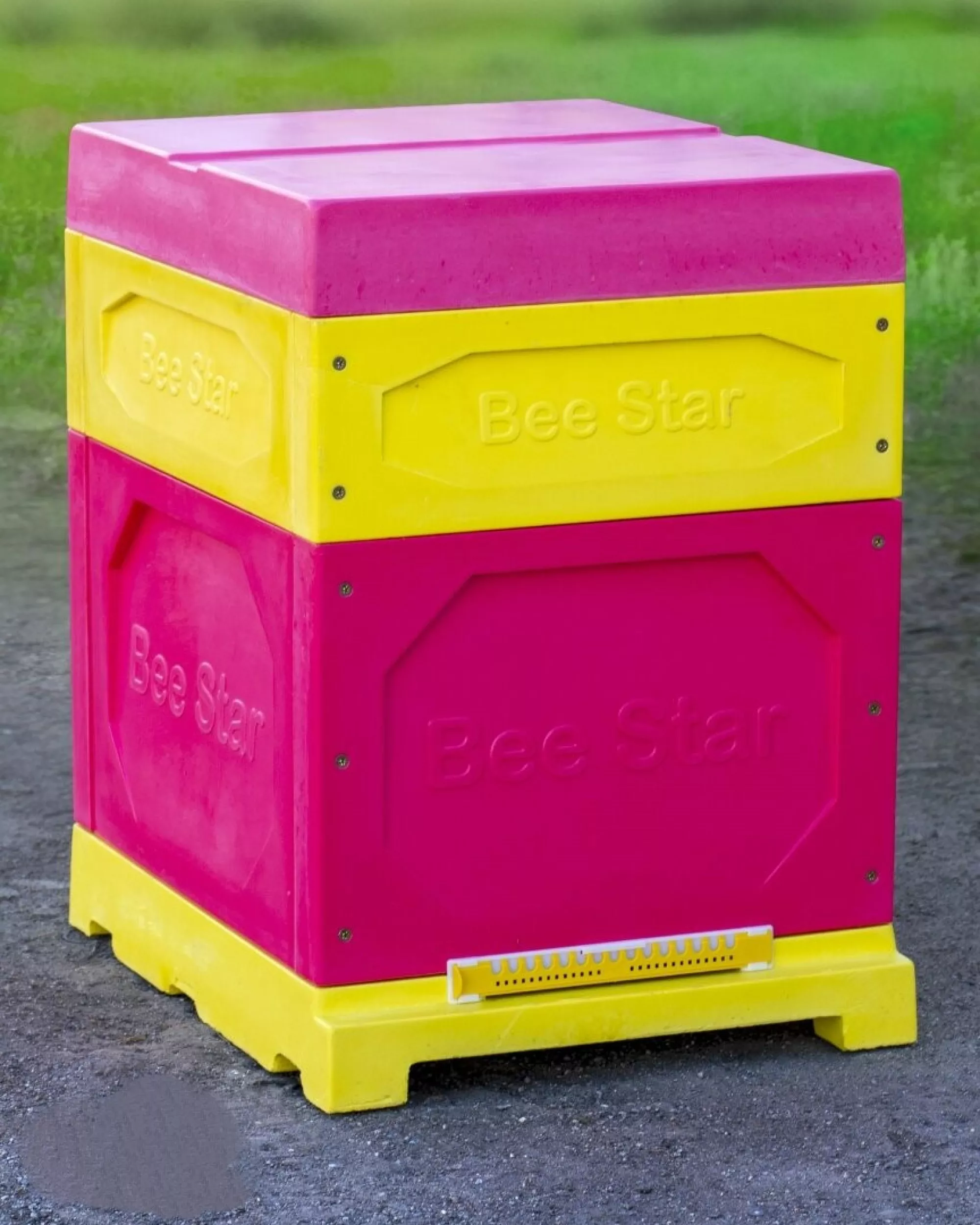 Вулик ППУ “BeeStar” (1 корпус Дадан 300 мм + 1 магазин на 10 рамок) – кольоровий