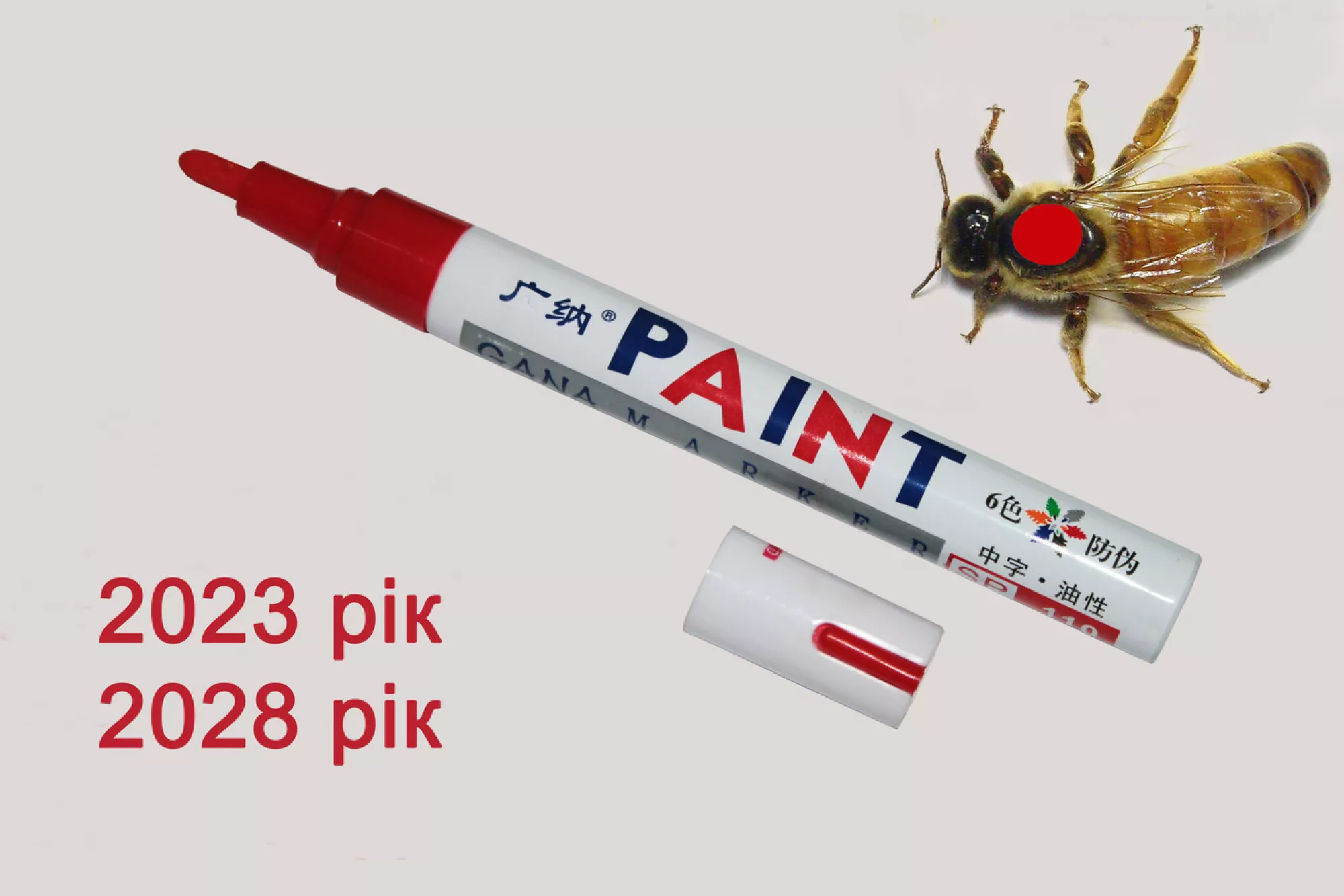 Маркер ЧЕРВОНИЙ для мітки маток 2023 рік, 2028 рік