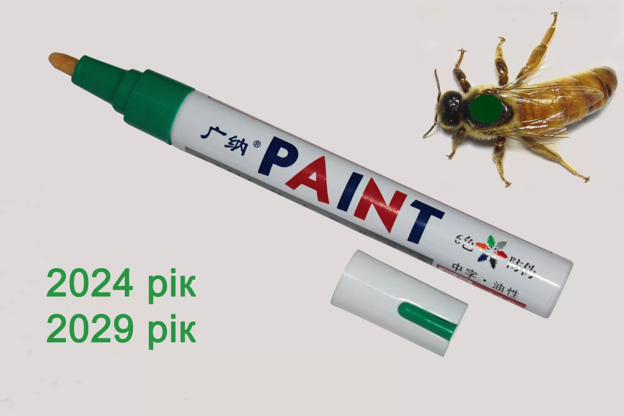 Маркер ЗЕЛЕНИЙ для мітки маток 2024, 2029 рік