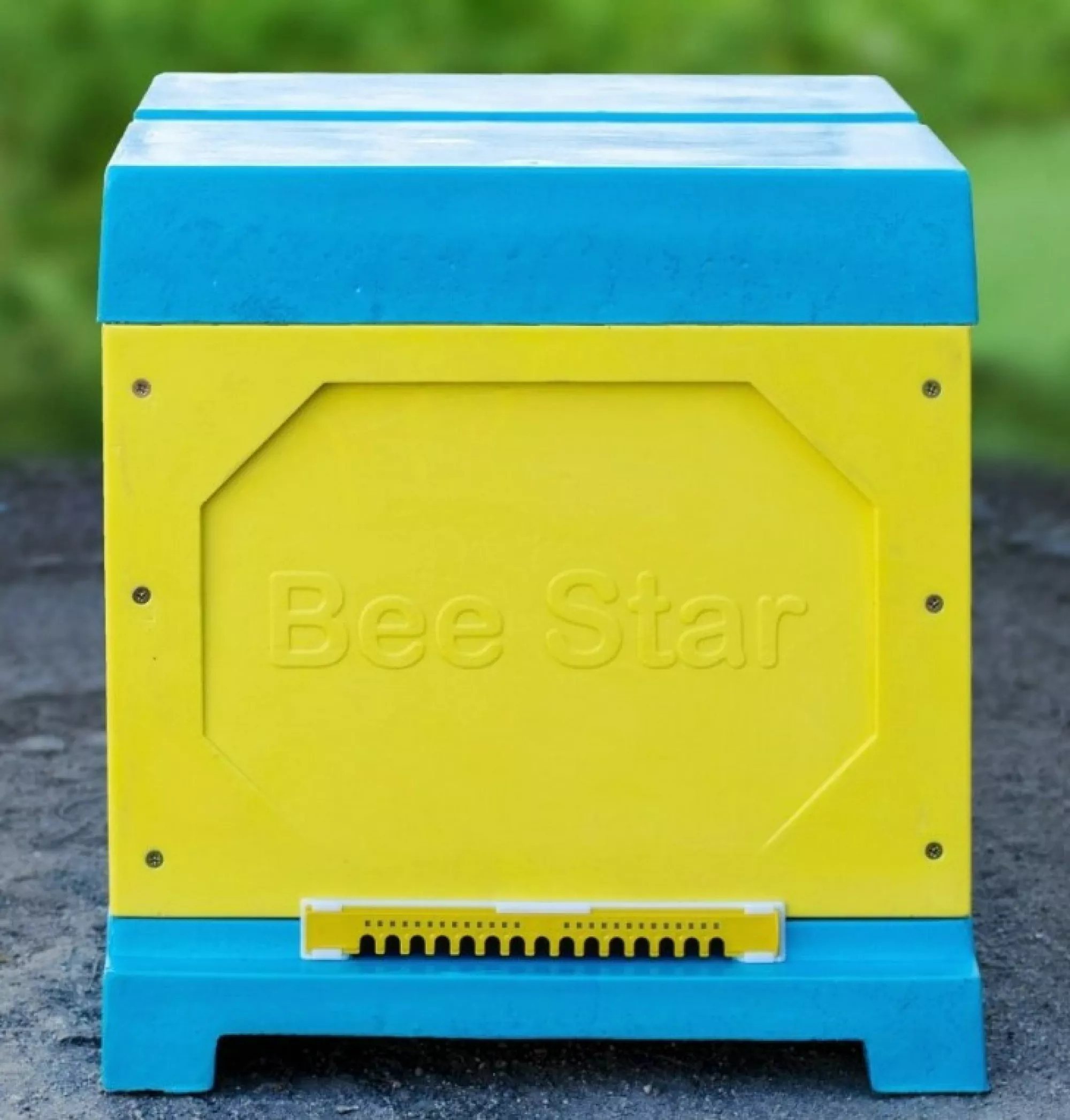 Вулик ППУ “BeeStar” (1 корпус Дадан 300 мм 10 рамок) – кольоровий