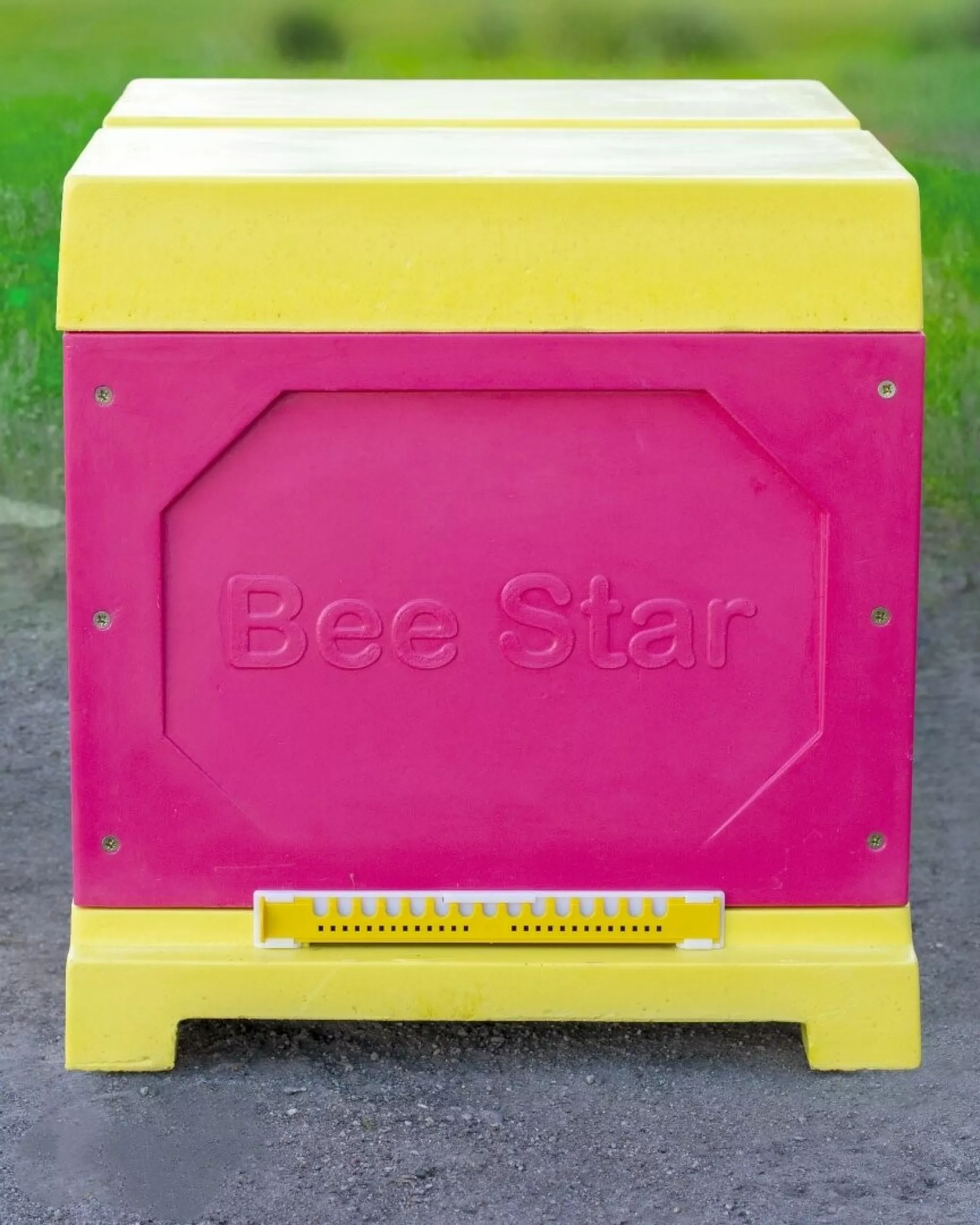 Вулик ППУ “BeeStar” (1 корпус Дадан 300 мм 10 рамок) – кольоровий