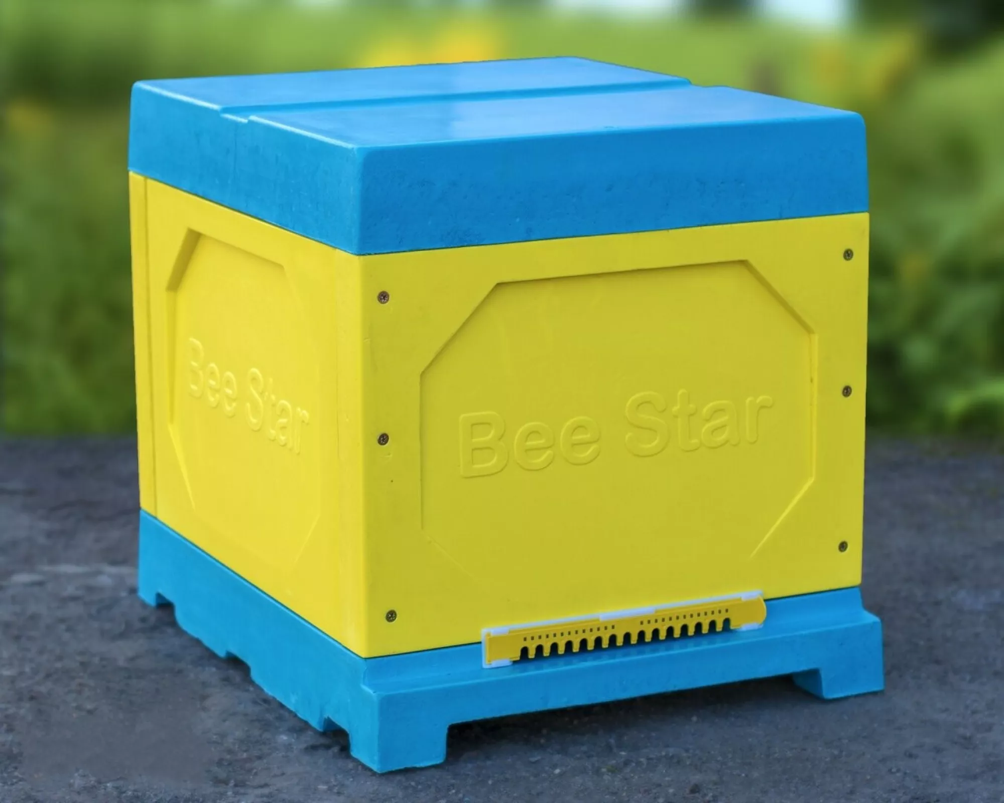 Вулик ППУ “BeeStar” (1 корпус Дадан 300 мм 10 рамок) – кольоровий