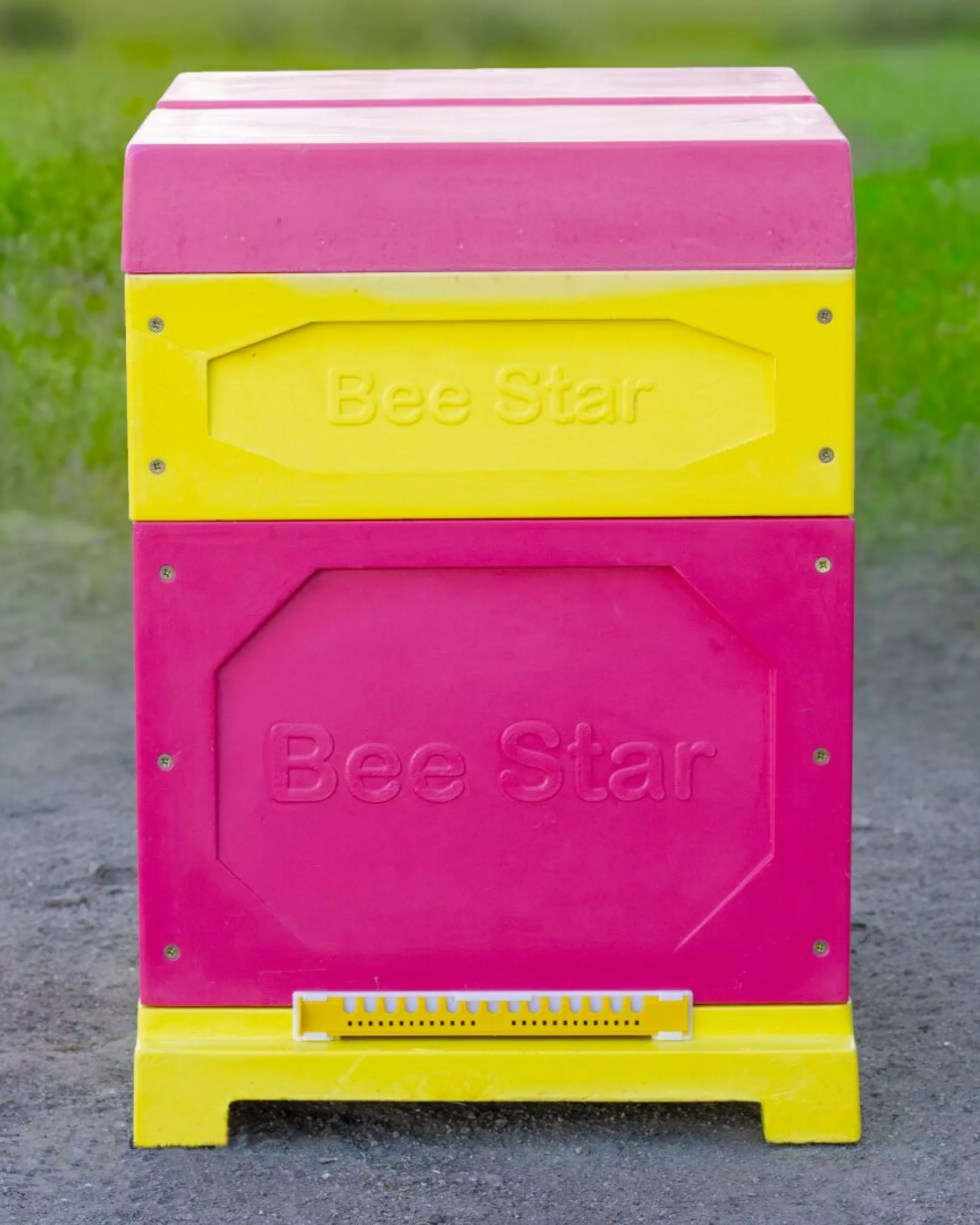 Вулик ППУ “BeeStar” (1 корпус Дадан 300 мм + 1 магазин на 10 рамок) – кольоровий