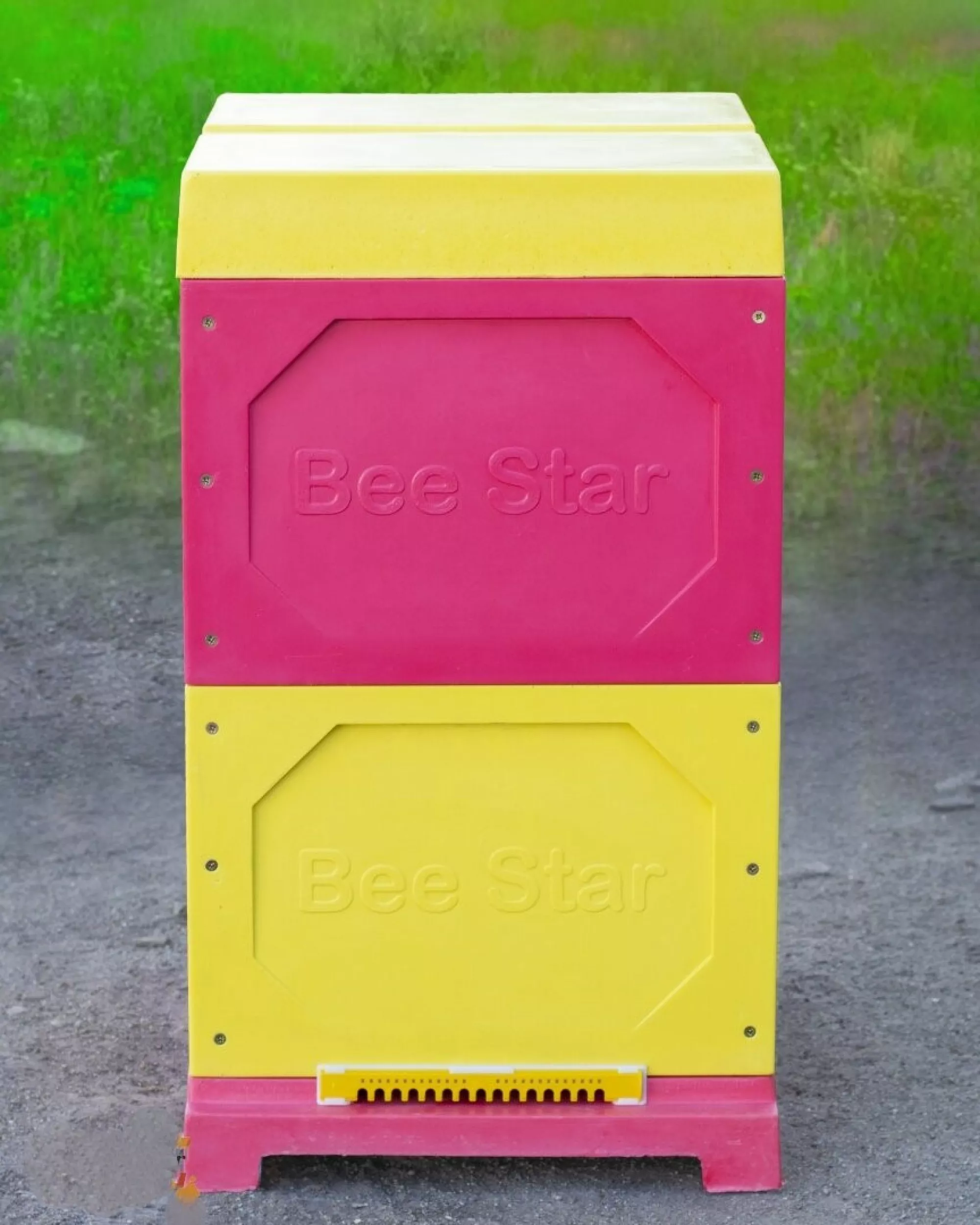 Вулик ППУ “BeeStar” (2 корпуси Дадан 300 мм на 10 рамок) – кольоровий