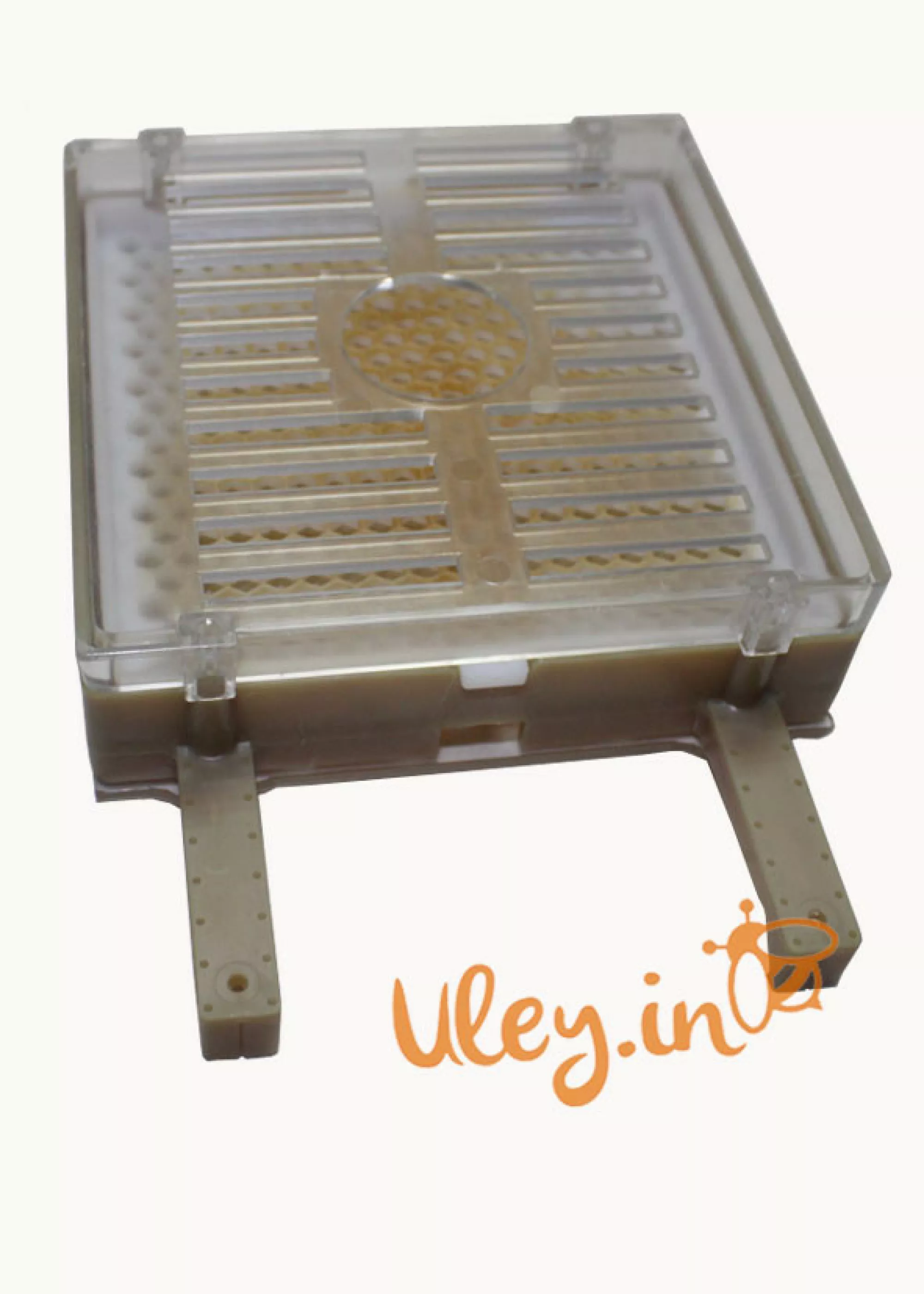 Джентерский сот «Швидкий Старт» Німеччина