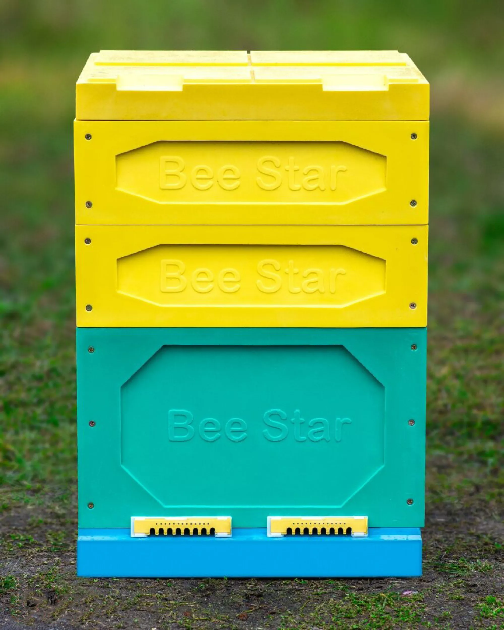 Вулик ППУ «BeeStar» (1 корпус Дадан + 2 магазини на 12 рамок) – кольоровий