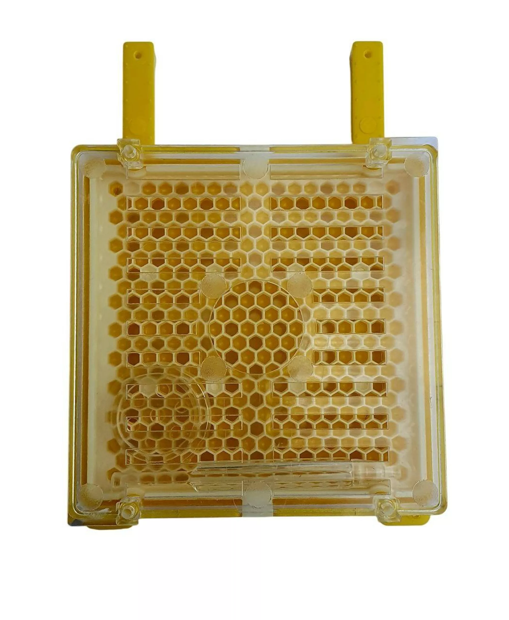 Касета «Джентерский сот» в зборі. Німеччина