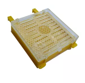 Касета «Джентерский сот» в зборі. Німеччина