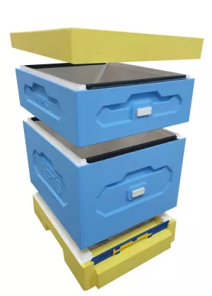 Вулик ППС (1 корпус Дадан на 10 рамок +1 магазин) низький дах