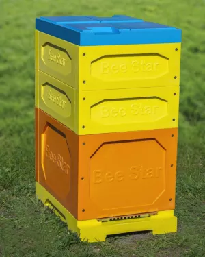 Вулик ППУ “BeeStar” (1 корпус Дадан 300 мм + 2 магазини на 8 рамок) – кольоровий