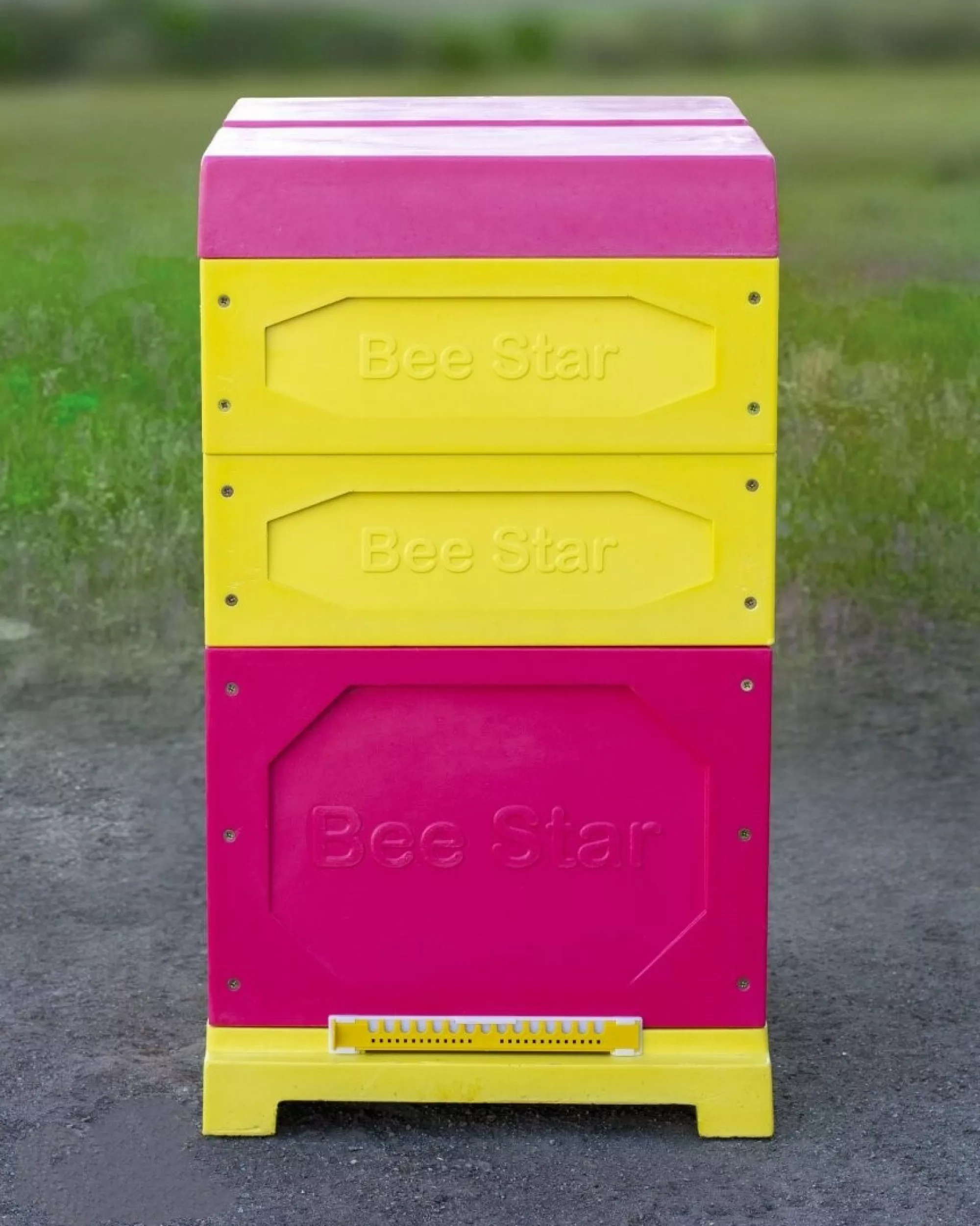 Вулик ППУ “BeeStar” (1 корпус Дадан 300 мм + 2 магазин на 10 рамок) – кольоровий
