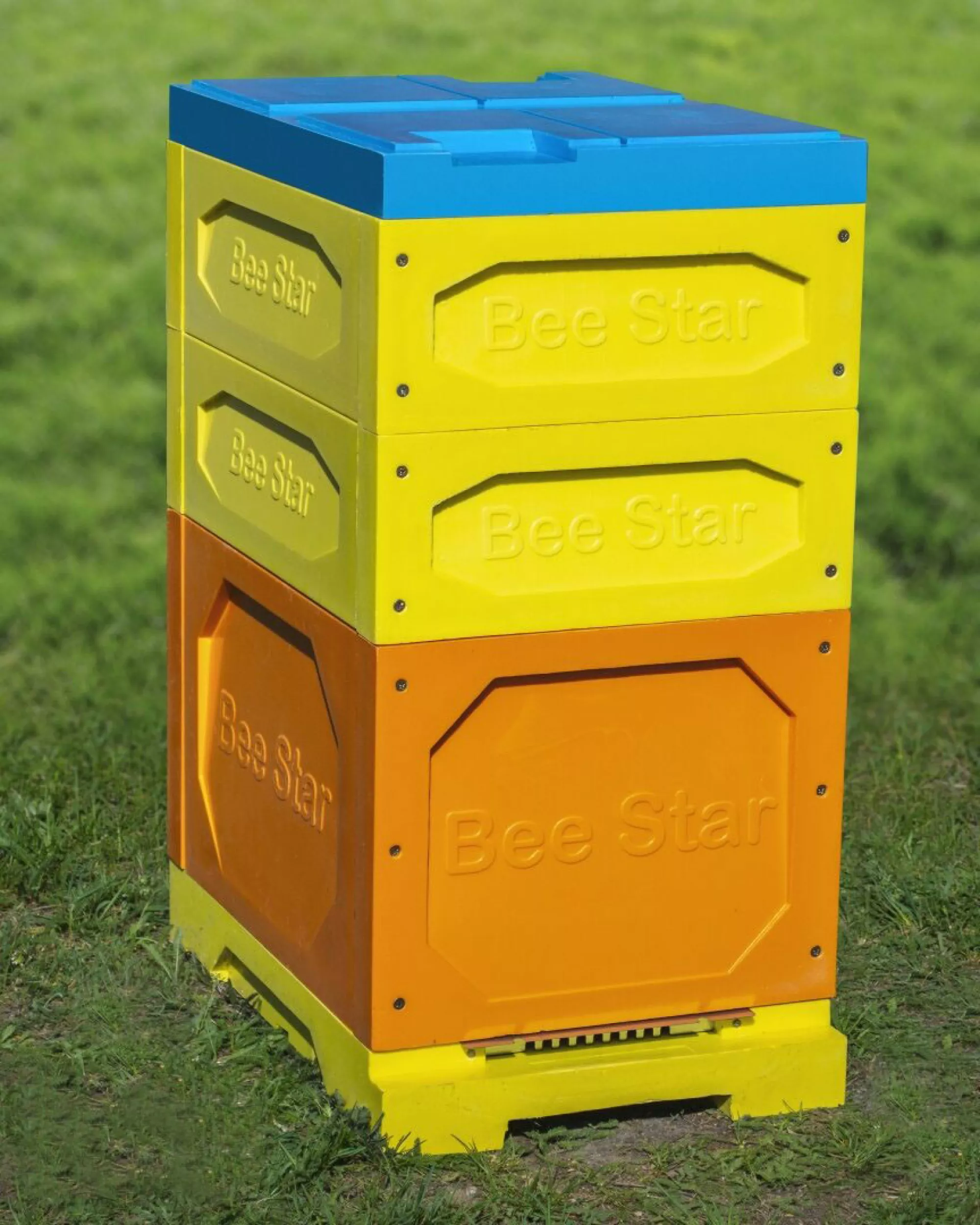 Вулик ППУ “BeeStar” (1 корпус Дадан 300 мм + 2 магазини на 8 рамок) – кольоровий