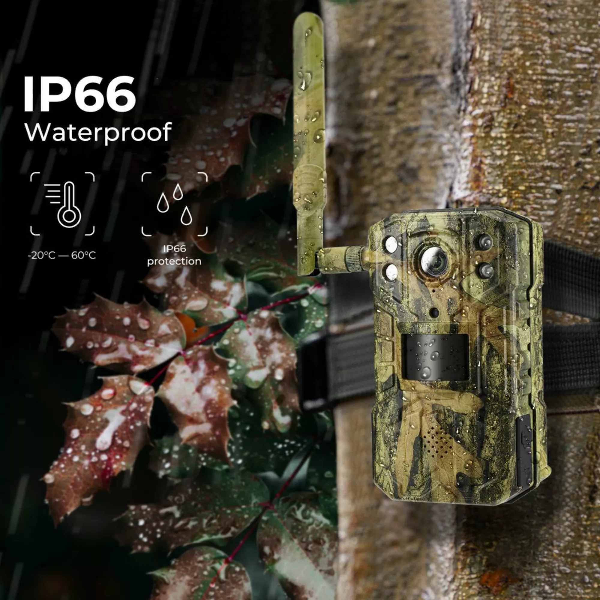 Фотопастка 4G + сонячна панель