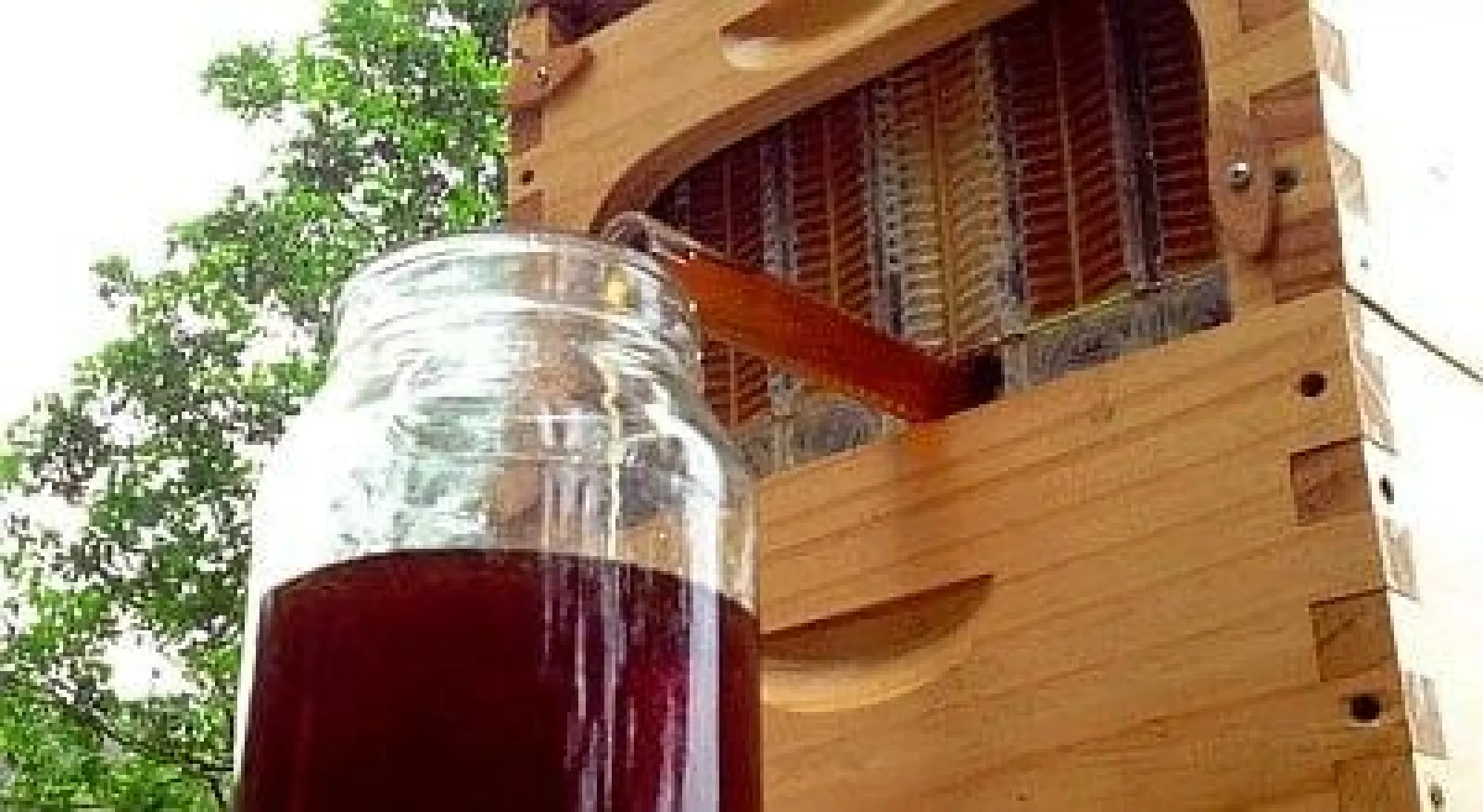 Автоматичний Вулик (2 корпуси + 7 автоматичних рамок + ключ для зливу)