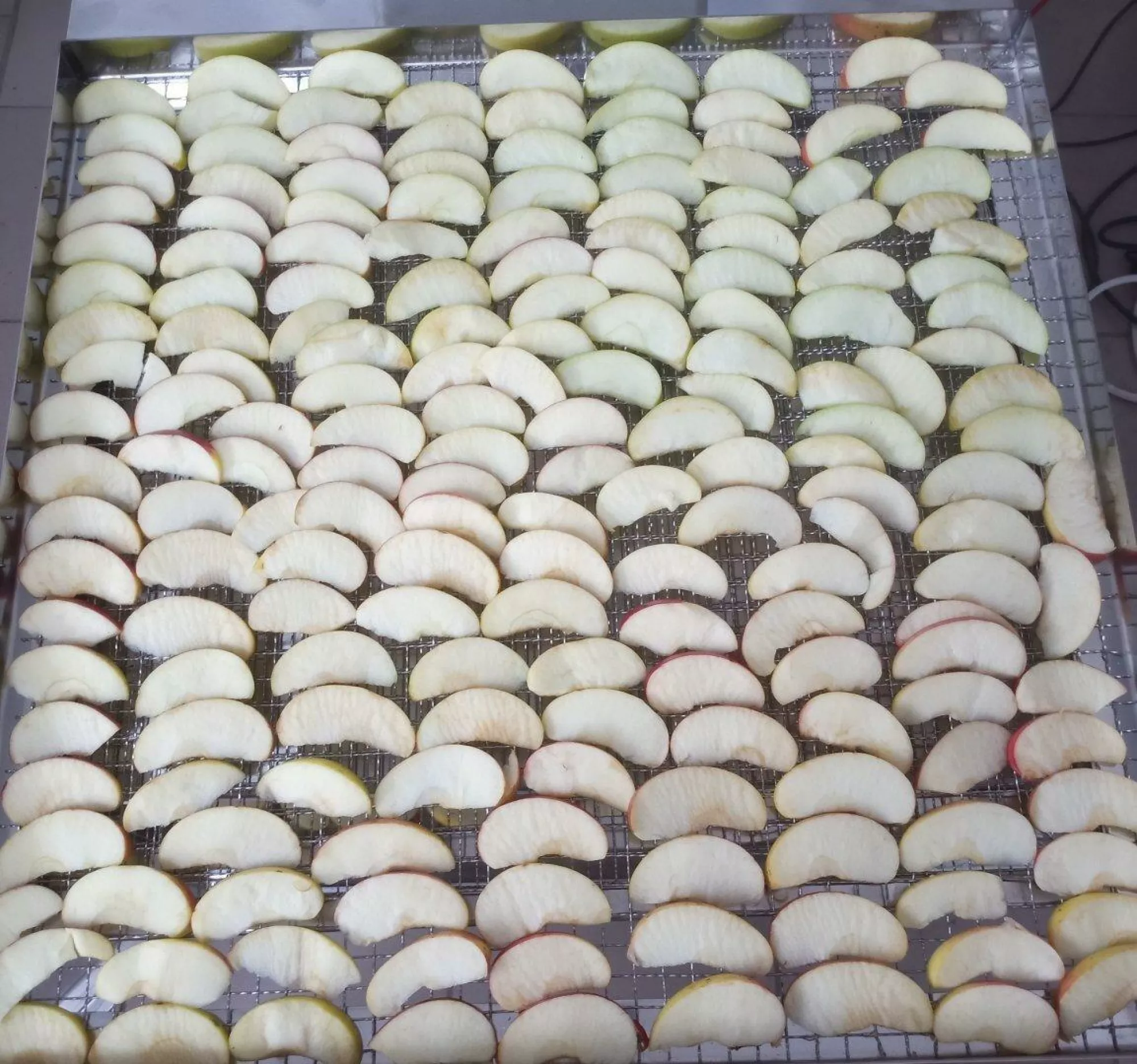 Сушильна шафа “М” (з лотками БЕЗ бортиків)