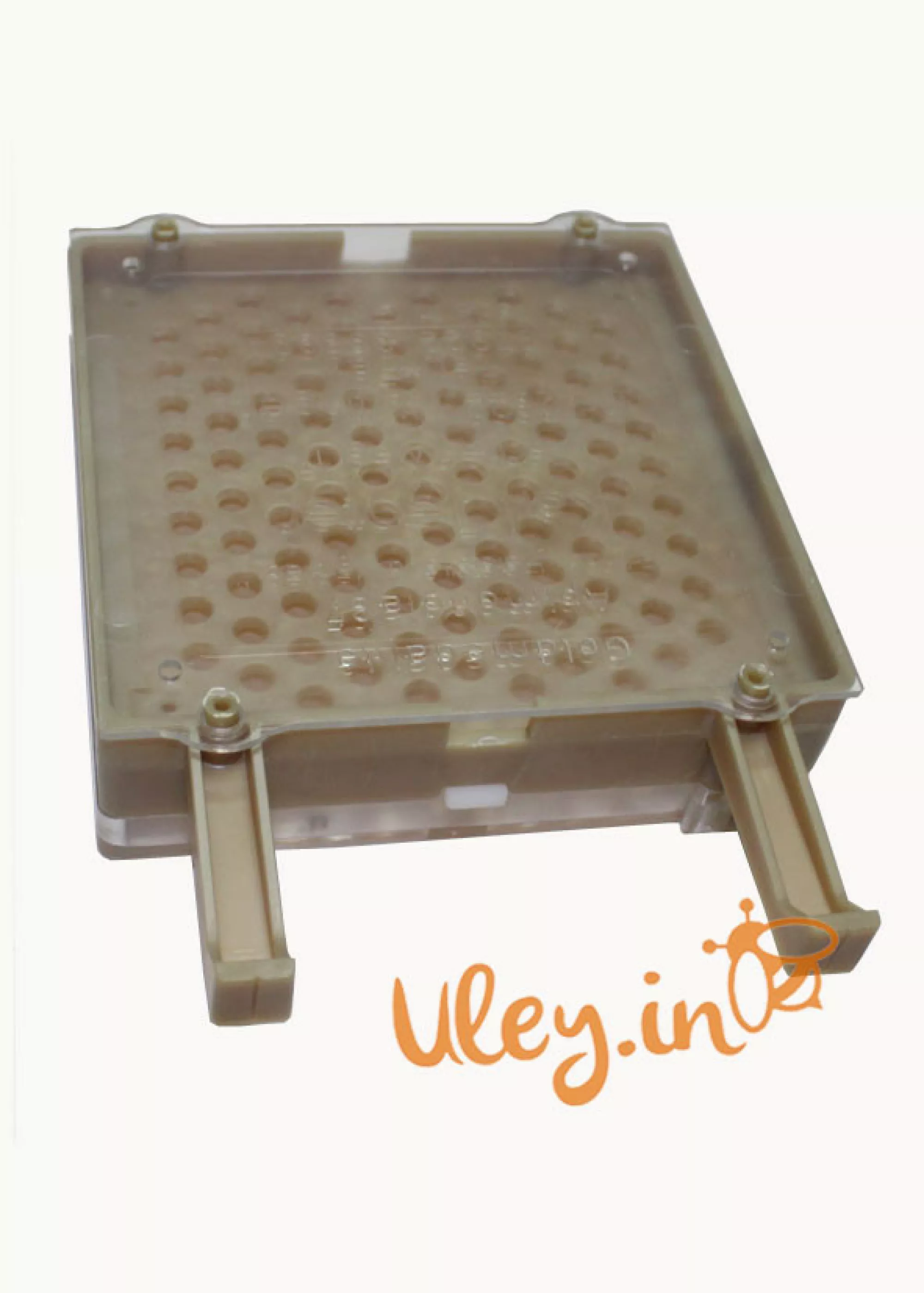 Джентерский сот «Швидкий Старт» Німеччина