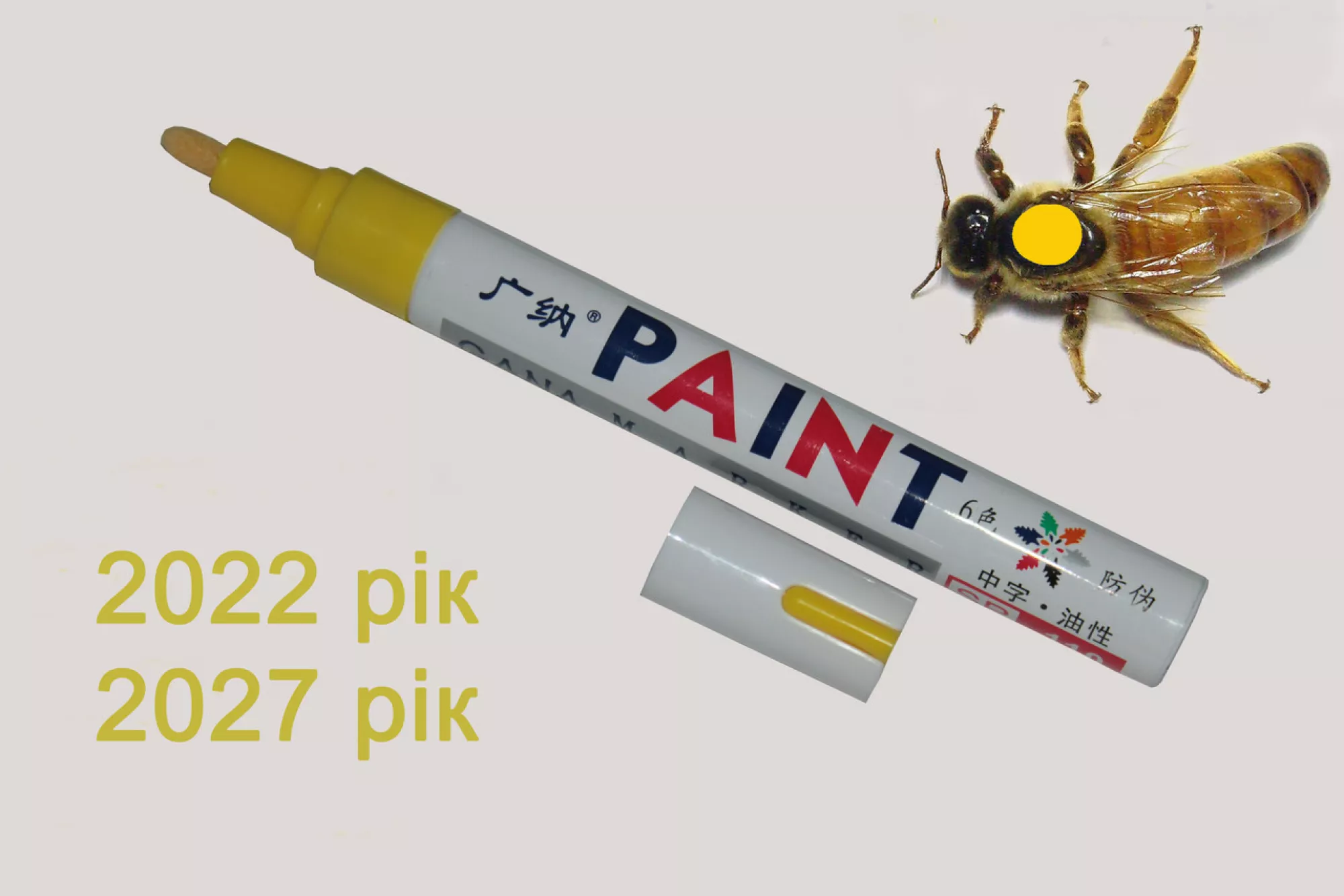 Маркер ЖОВТИЙ для мітки маток 2022, 2027 рік