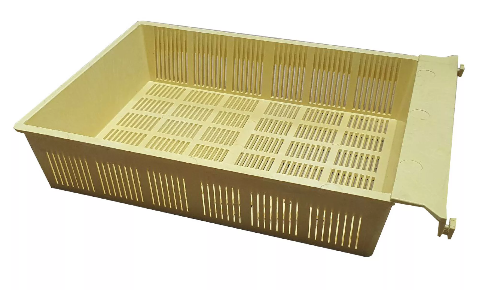 Пыльцесборник Донний