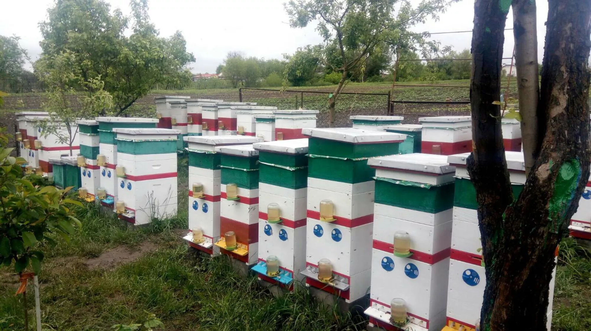 Поїлка летковая під Скляну банку