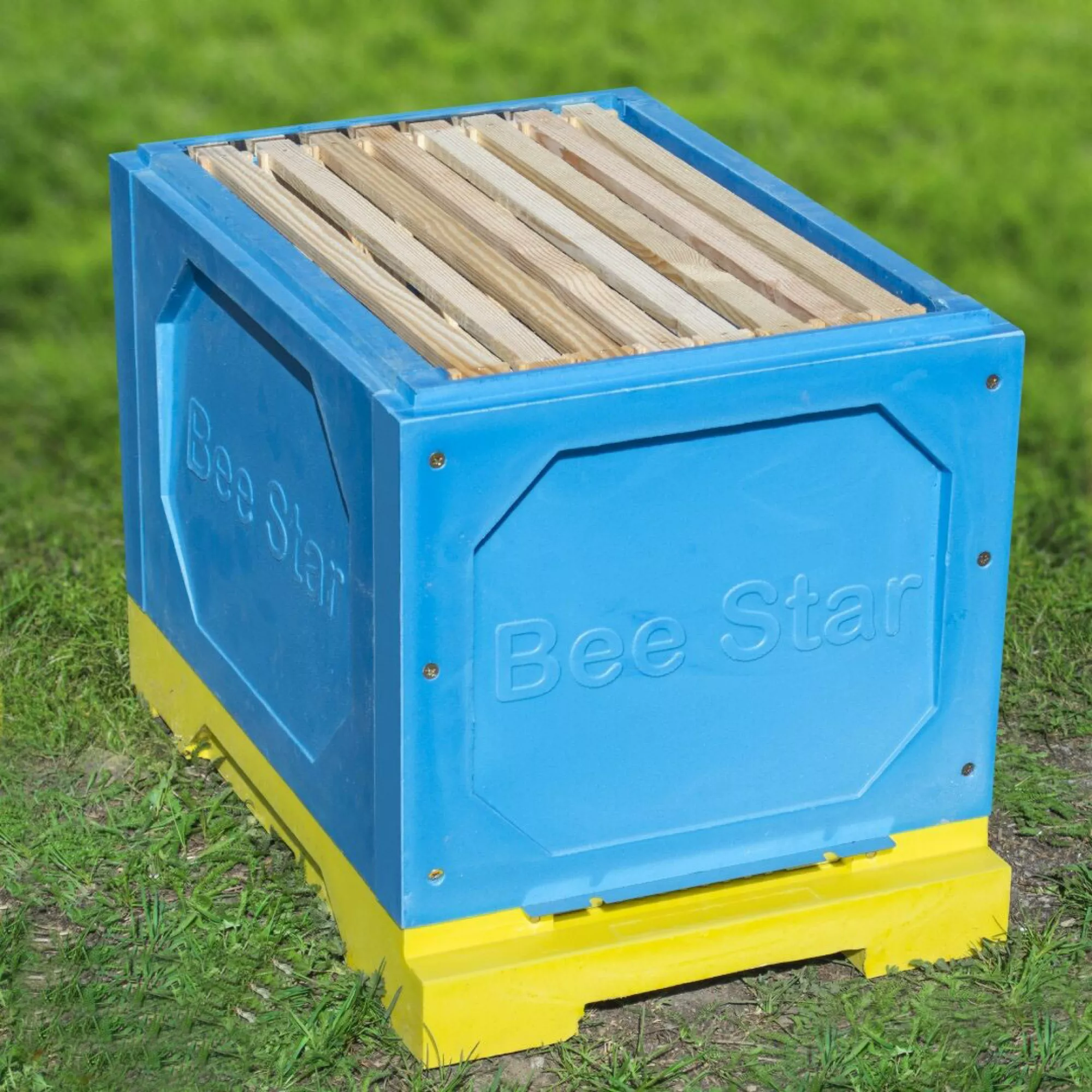 Корпус ППУ “BeeStar” на 8 рамковий Вулик Дадан 300 мм – кольоровий