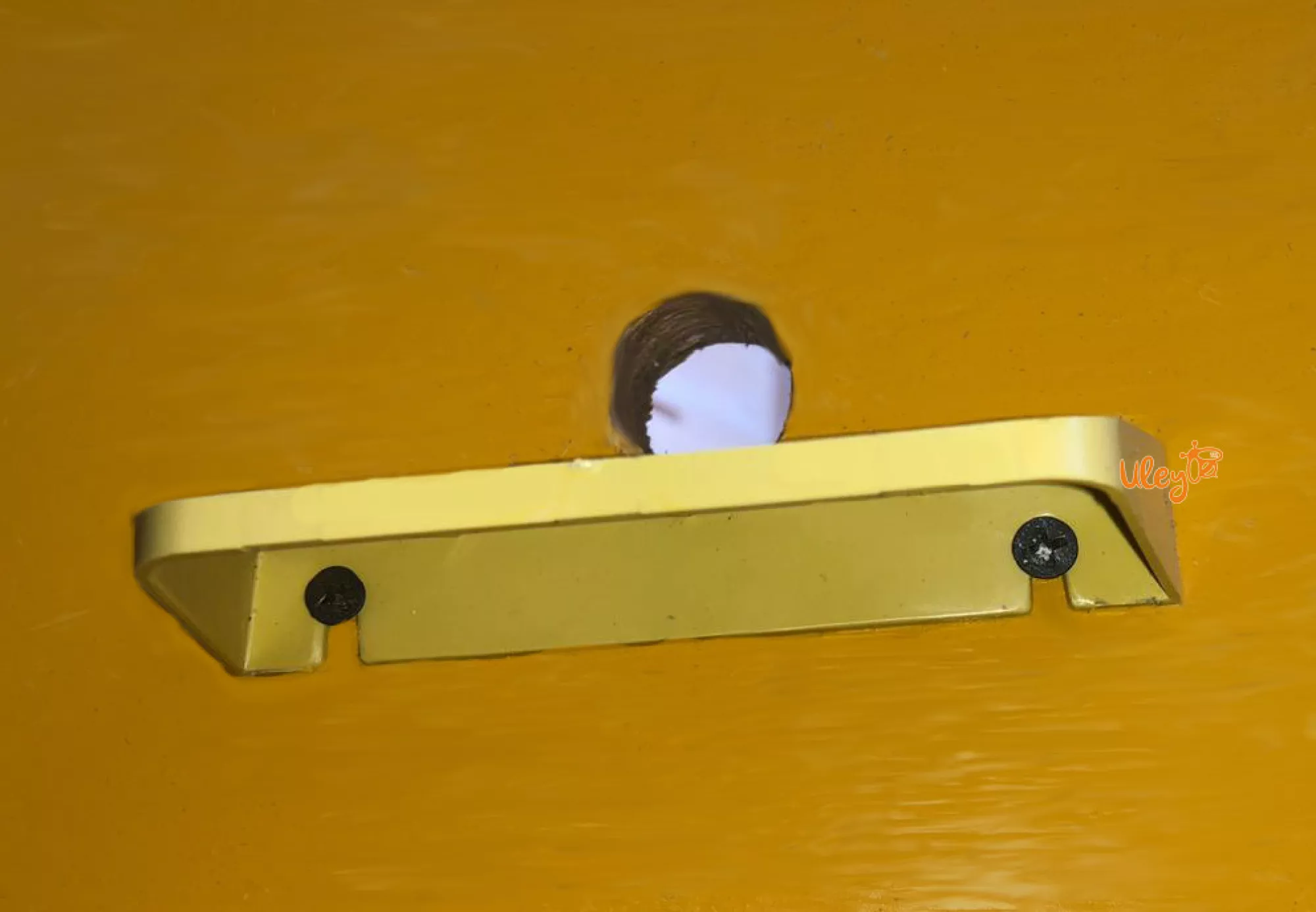 Дошка прилетная сітчаста велика