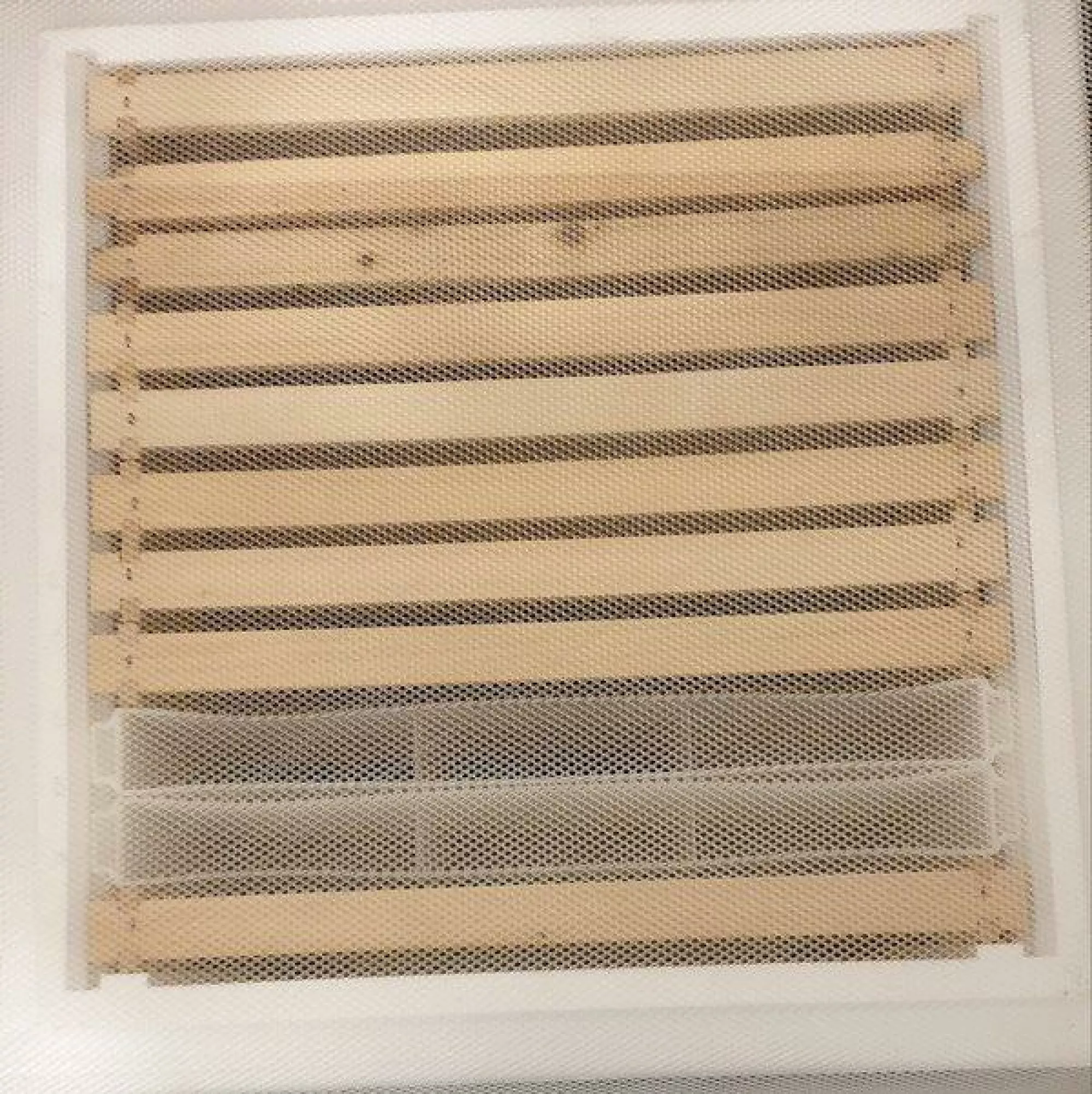 Сітка для збору прополісу "StanzPress" - 475х385 мм